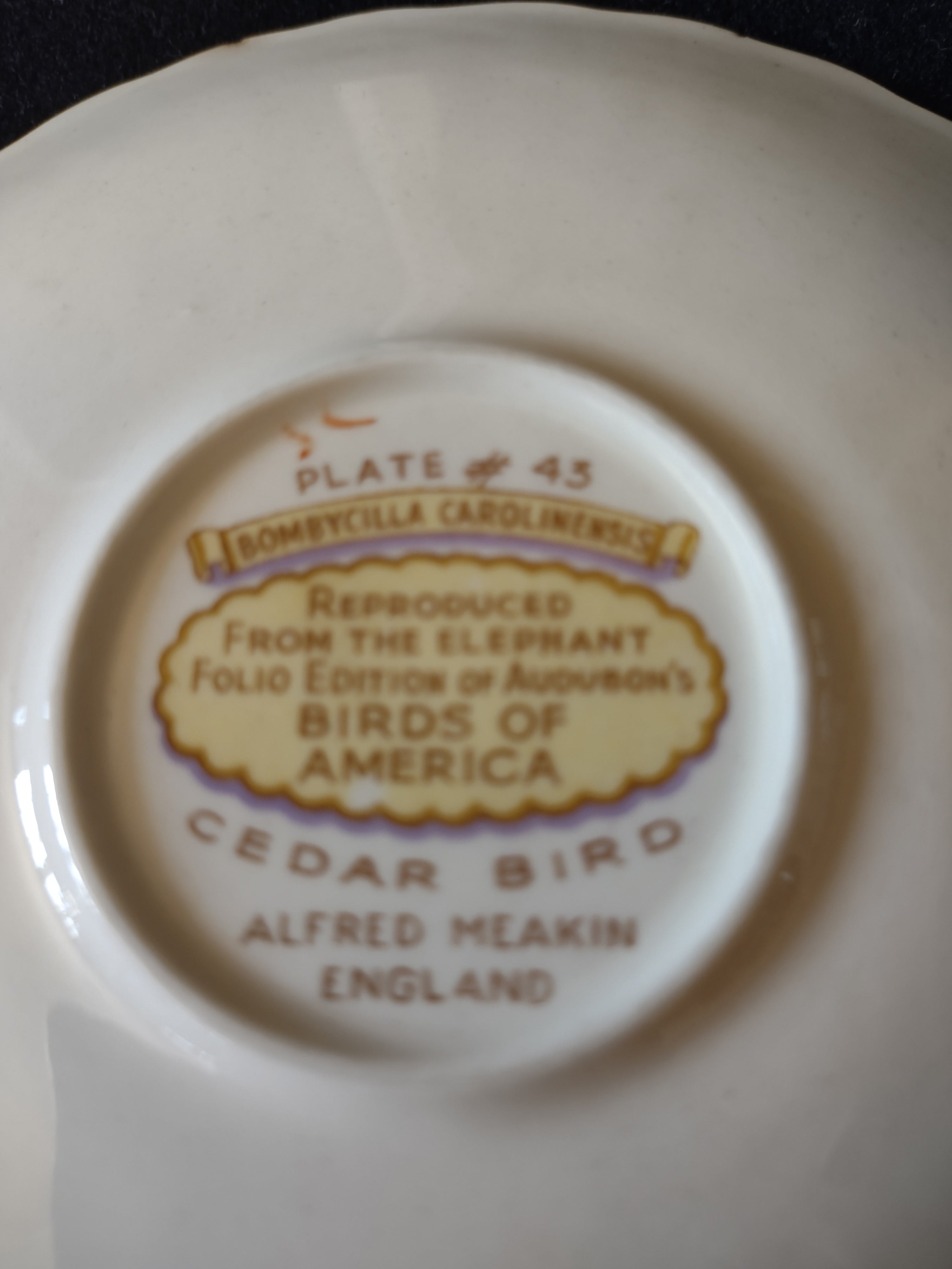 Vintage Alfred Meakin Audubon Cedar Bird Saucer England Cottagecore [5881]