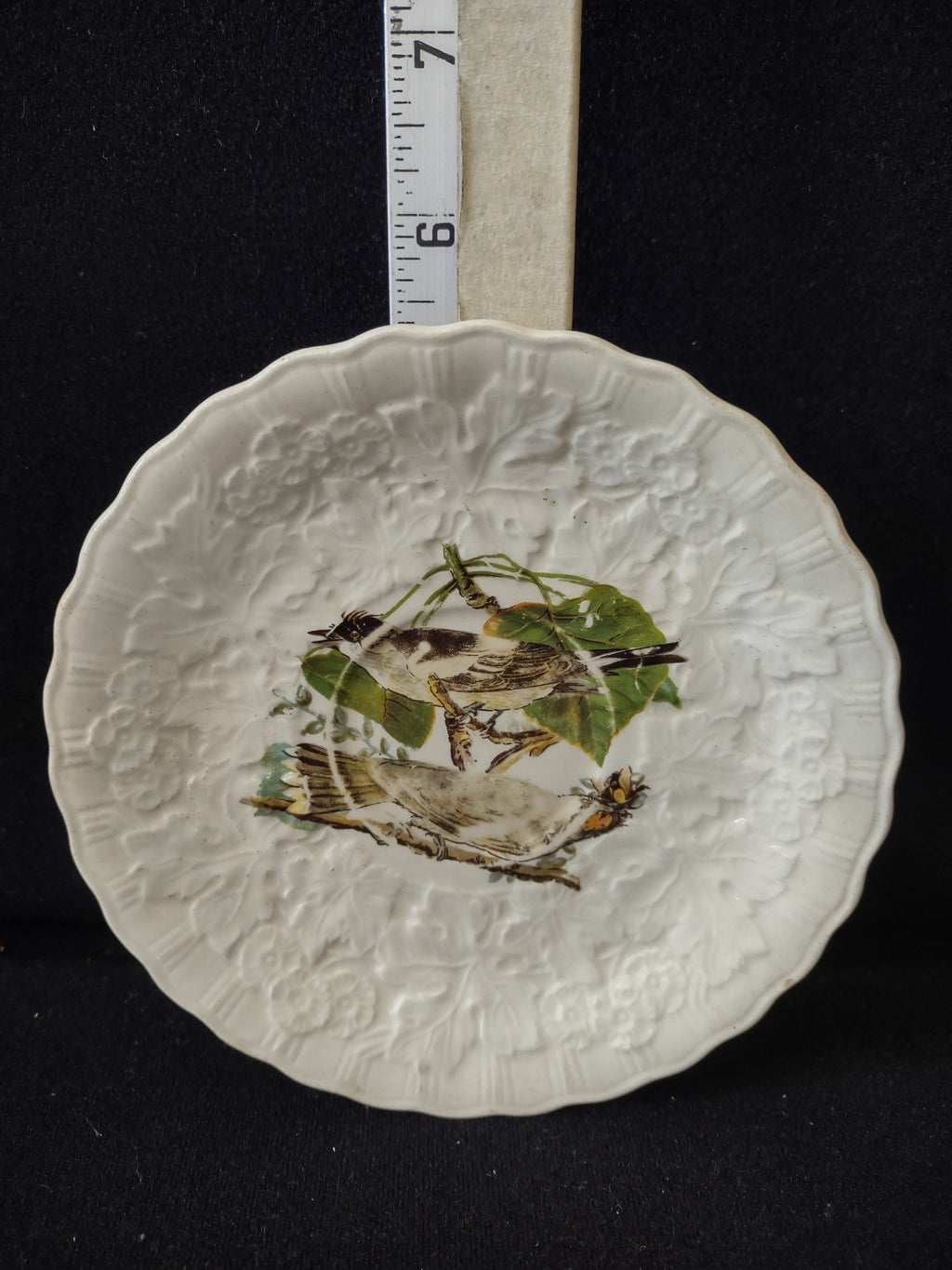 Vintage Alfred Meakin Kingbird Audubon Saucer England Cottagecore [5883]