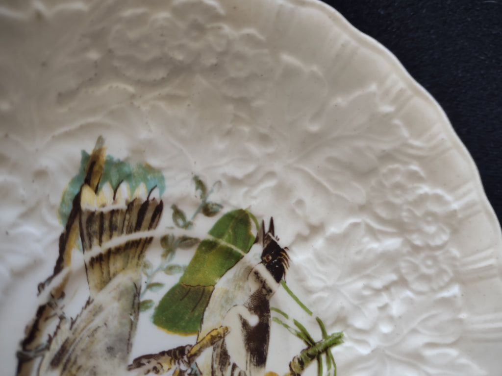 Vintage Alfred Meakin Kingbird Audubon Saucer England Cottagecore [5883]