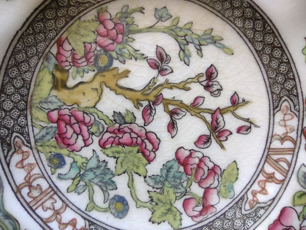 Vintage Coalport Scalloped Floral Dessert Plate England Cottagecore [5896]