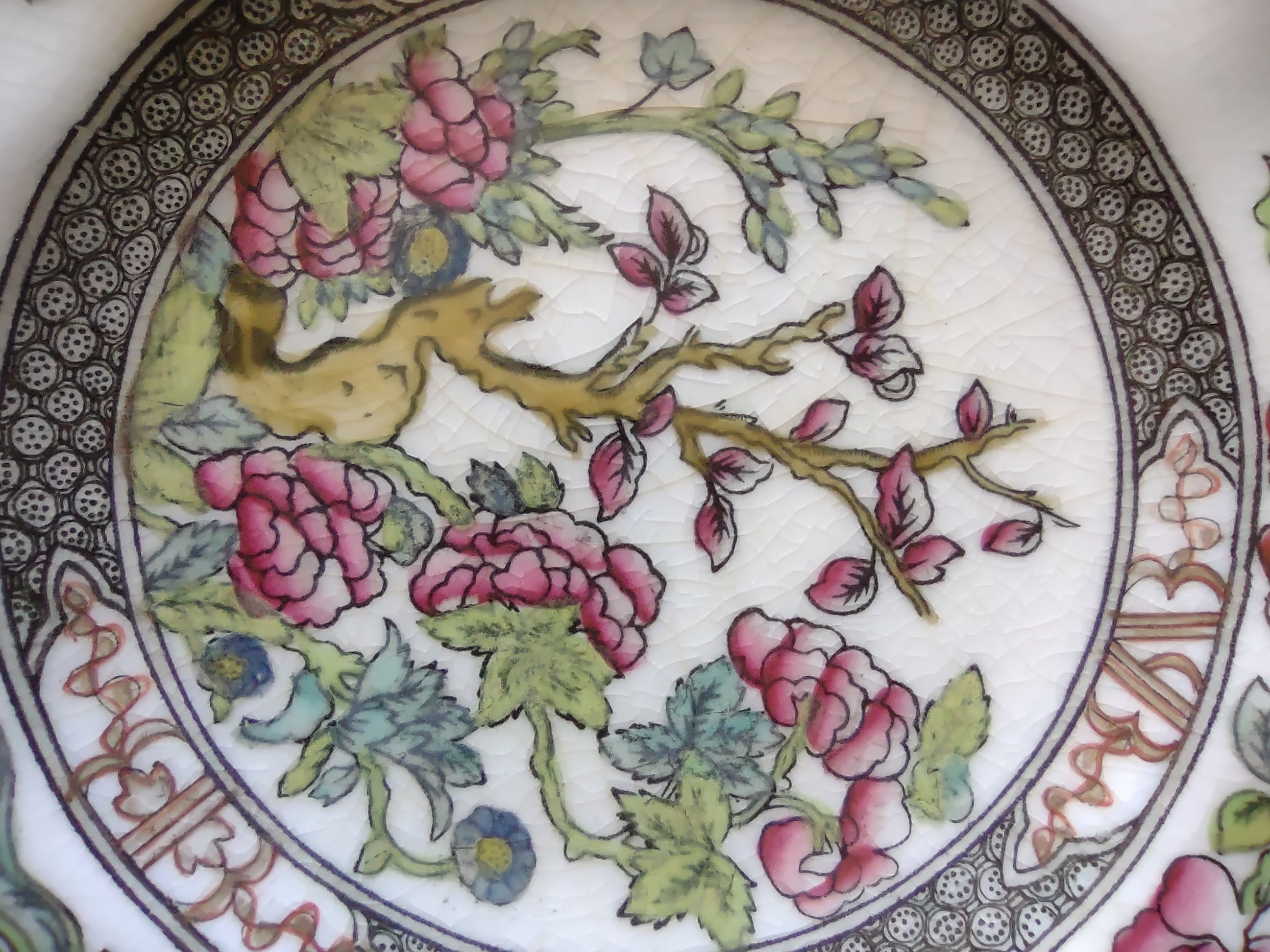 Vintage Coalport Scalloped Floral Dessert Plate England Cottagecore [5896]