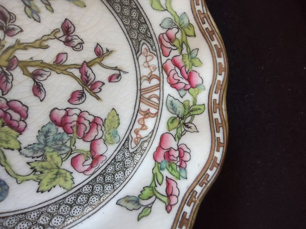 Vintage Coalport Scalloped Floral Dessert Plate England Cottagecore [5896]