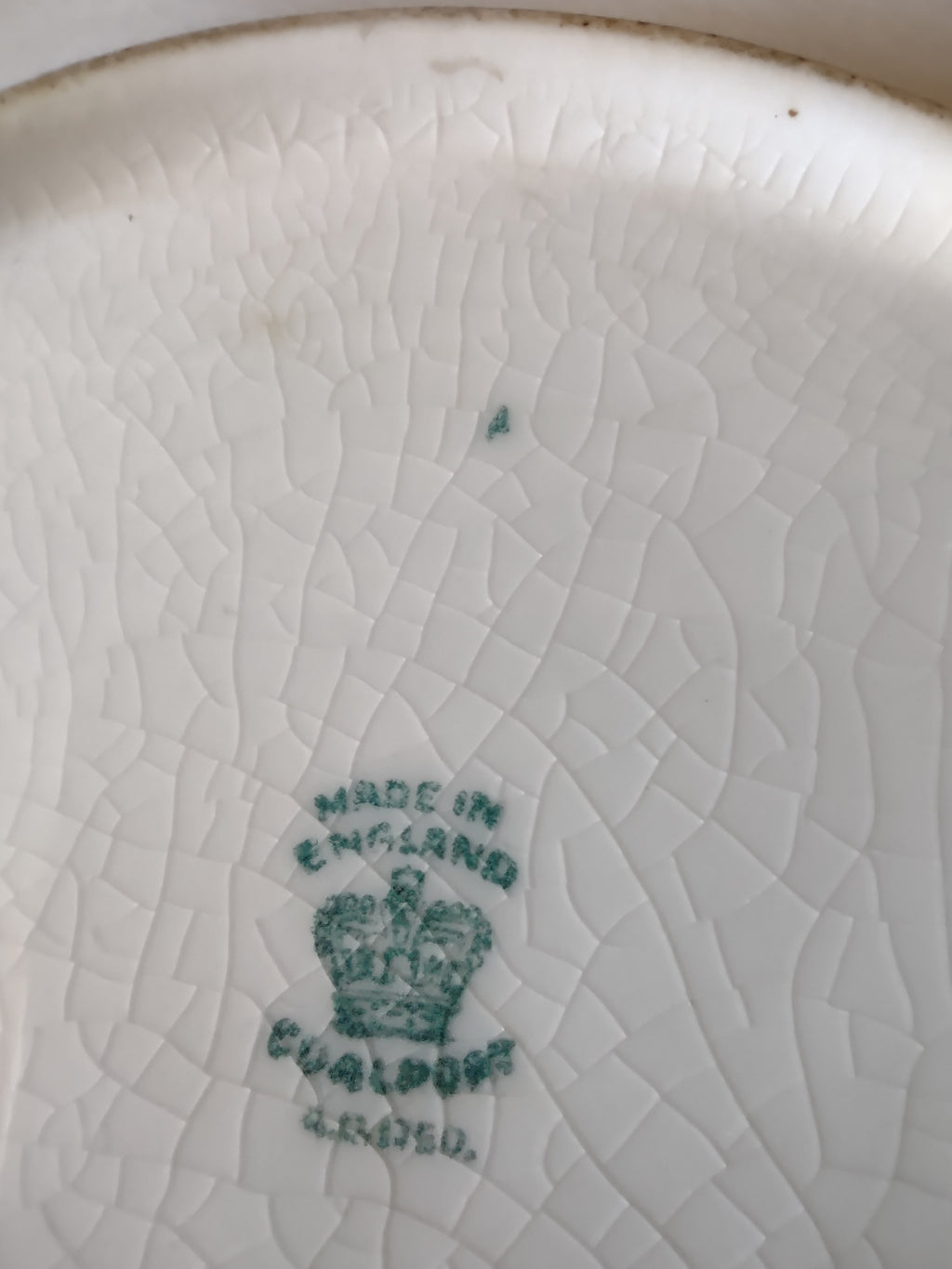 Vintage Coalport Scalloped Floral Dessert Plate England Cottagecore [5896]