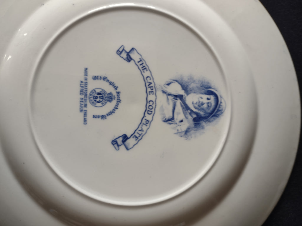 Vintage Alfred Meakin Cape Cod Blue Plate Ironstone Cottagecore England [5926]