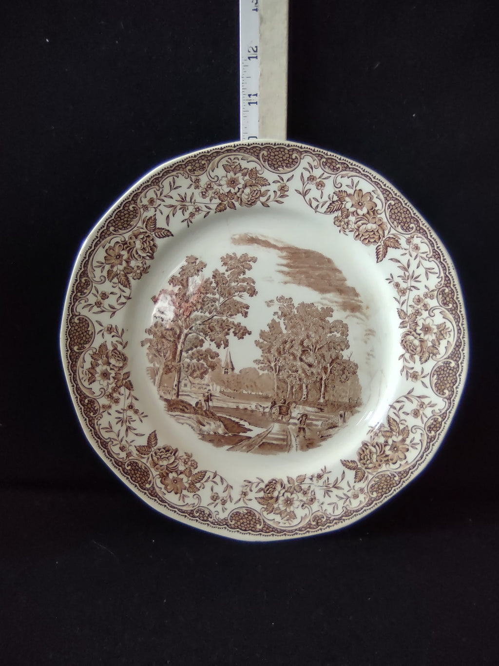 Vintage Royal Tudor Ware Olde England Plate Pair Ironstone Cottagecore [5928]