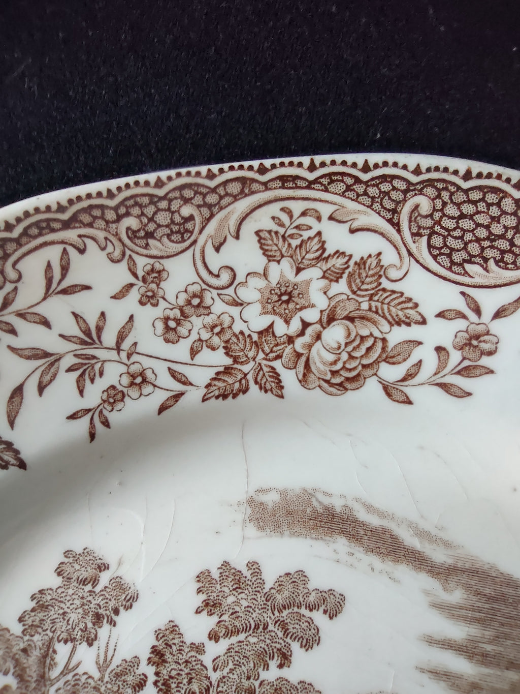 Vintage Royal Tudor Ware Olde England Plate Pair Ironstone Cottagecore [5928]