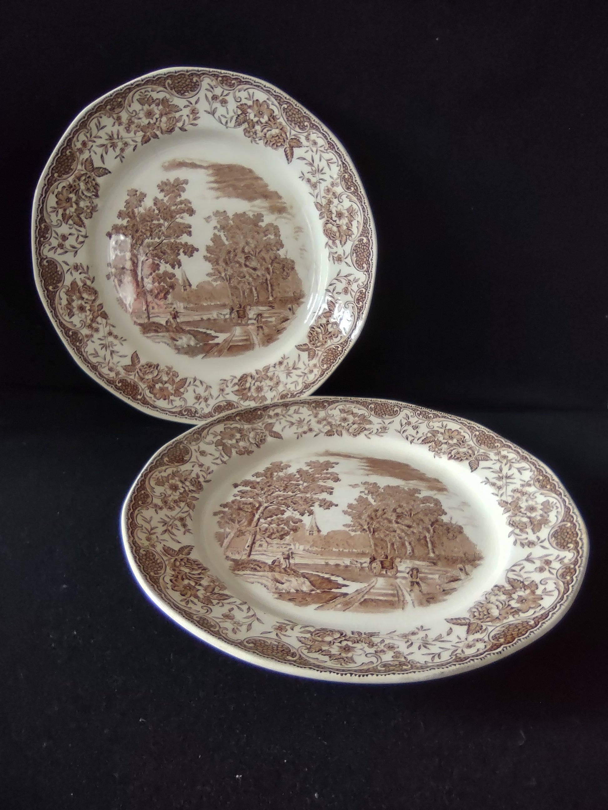 Vintage Royal Tudor Ware Olde England Plate Pair Ironstone Cottagecore [5928]