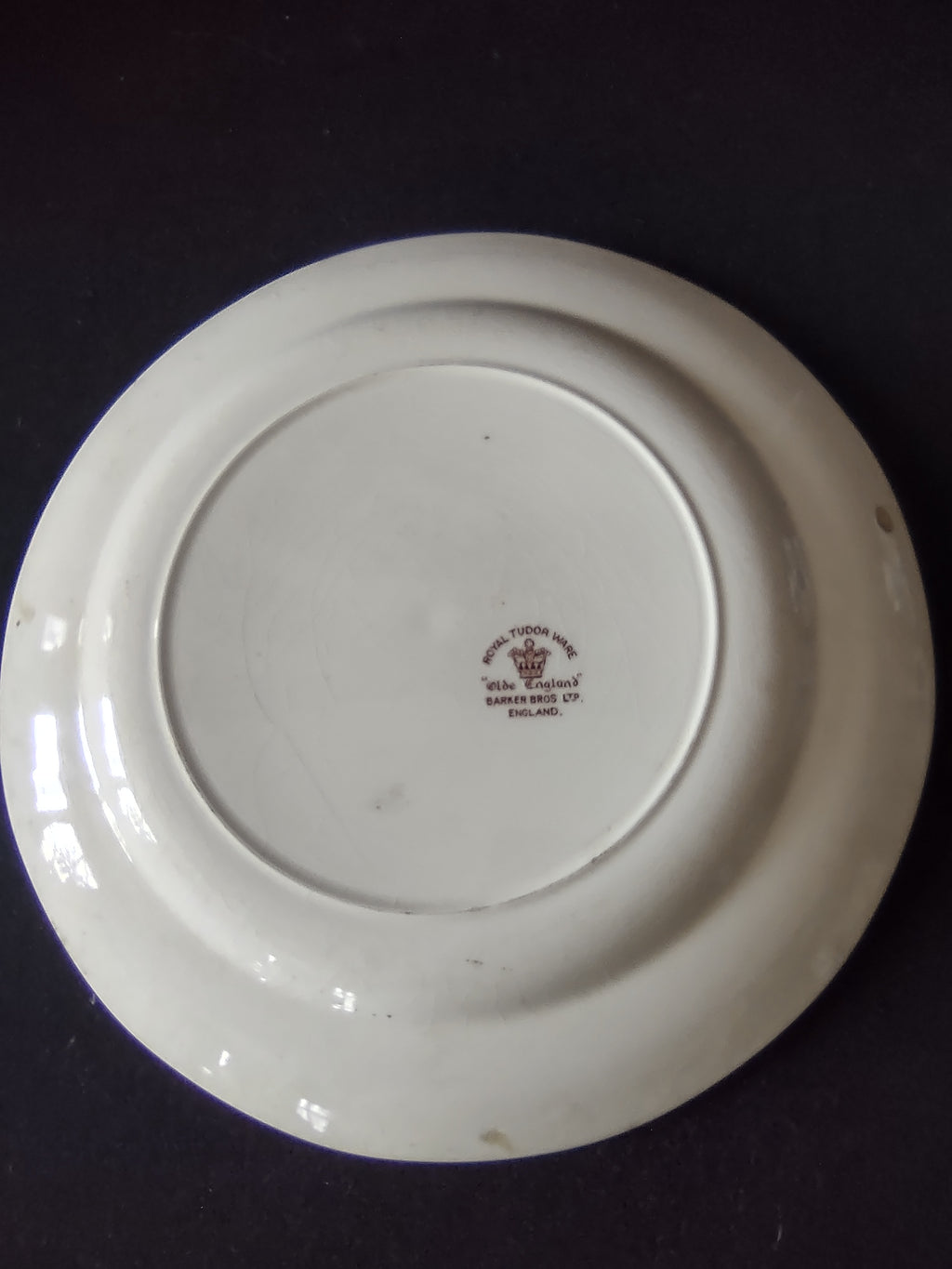 Vintage Royal Tudor Ware Olde England Plate Pair Ironstone Cottagecore [5928]