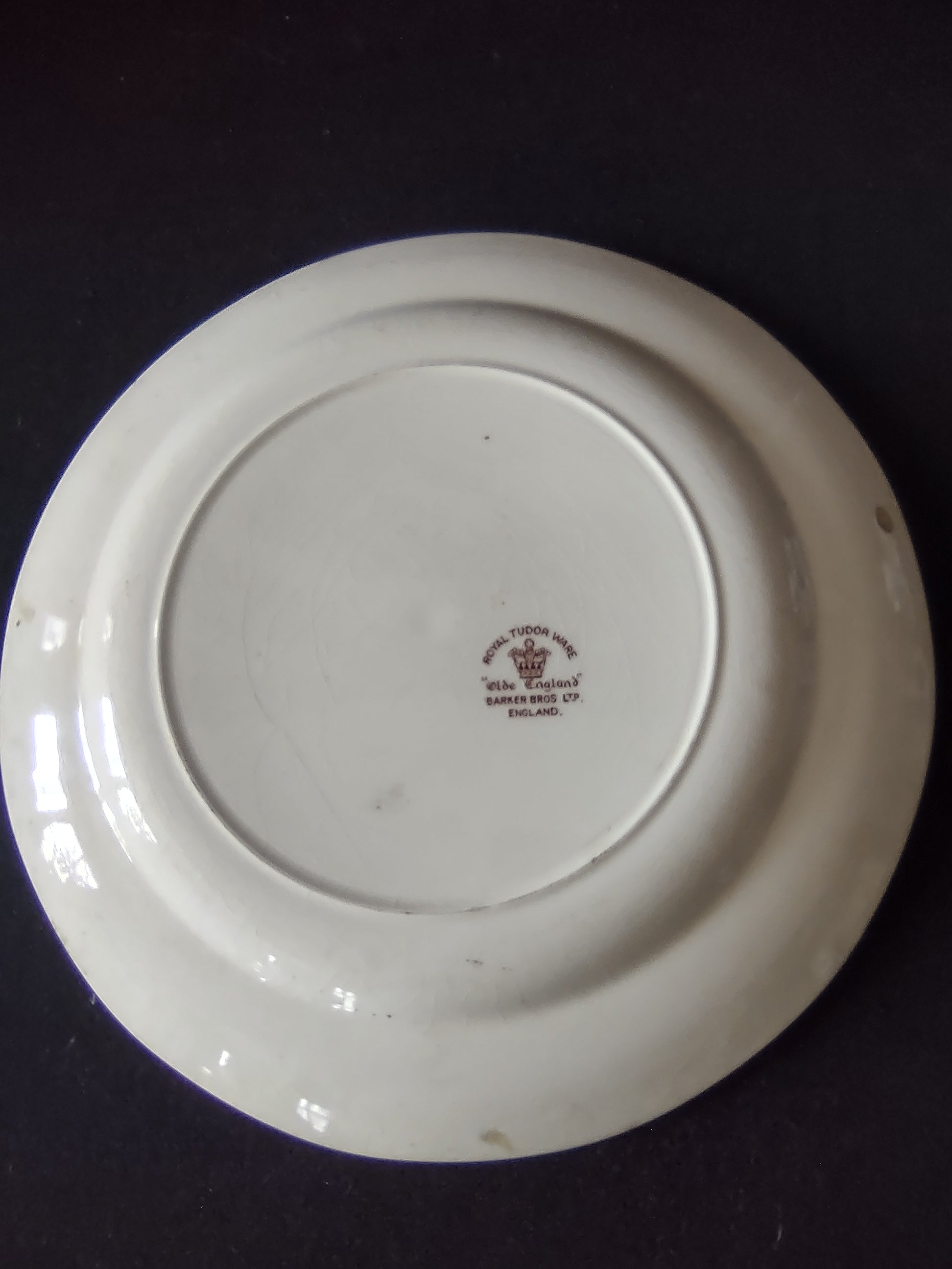 Vintage Royal Tudor Ware Olde England Plate Pair Ironstone Cottagecore [5928]