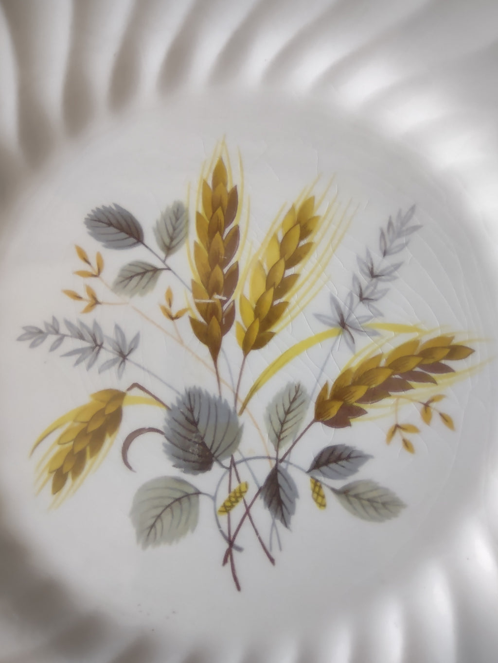 Vintage Myott Ironstone Wheat Pattern Dinner Plate England Cottagecore [5952]