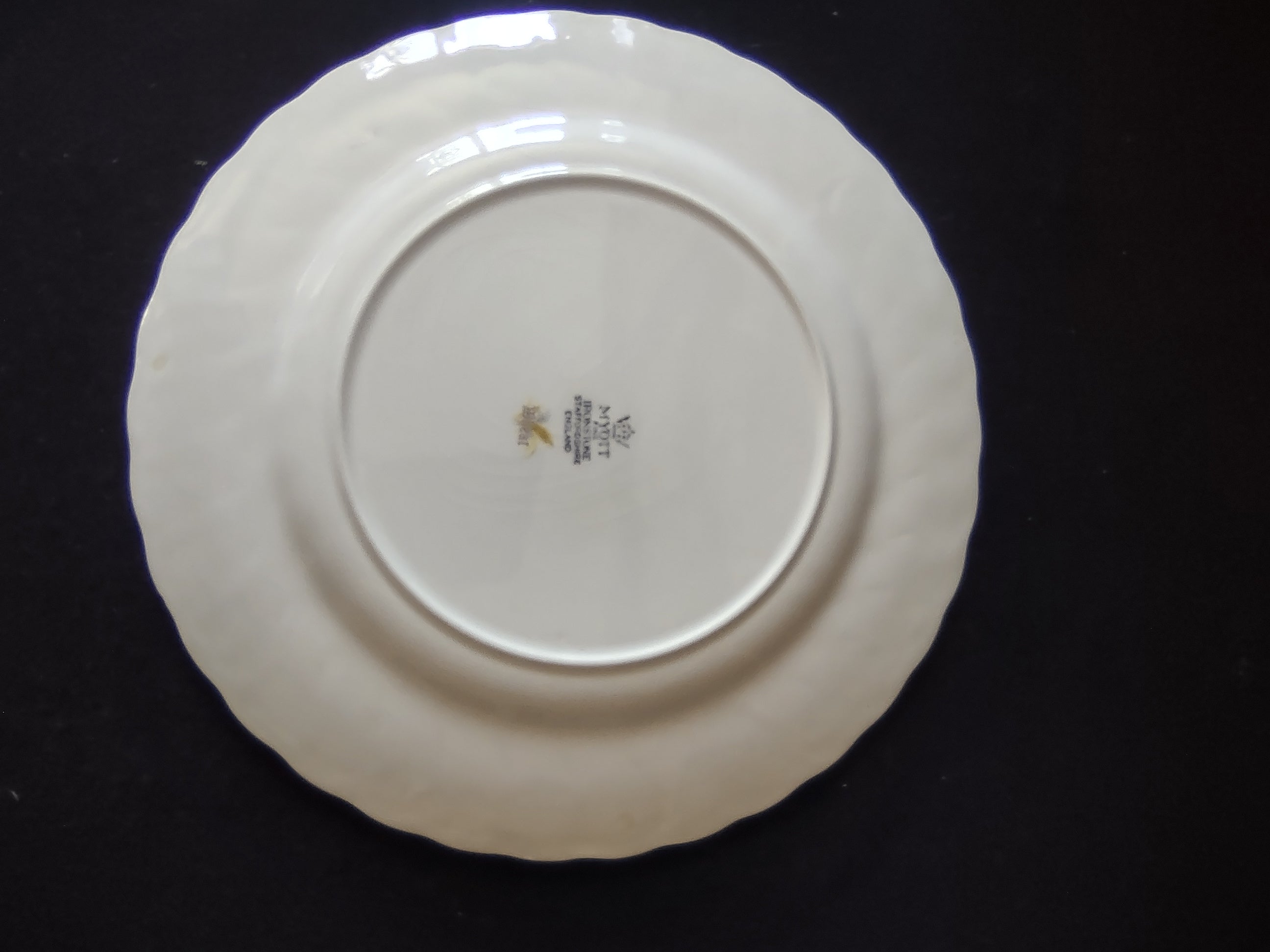 Vintage Myott Ironstone Wheat Pattern Dinner Plate England Cottagecore [5952]