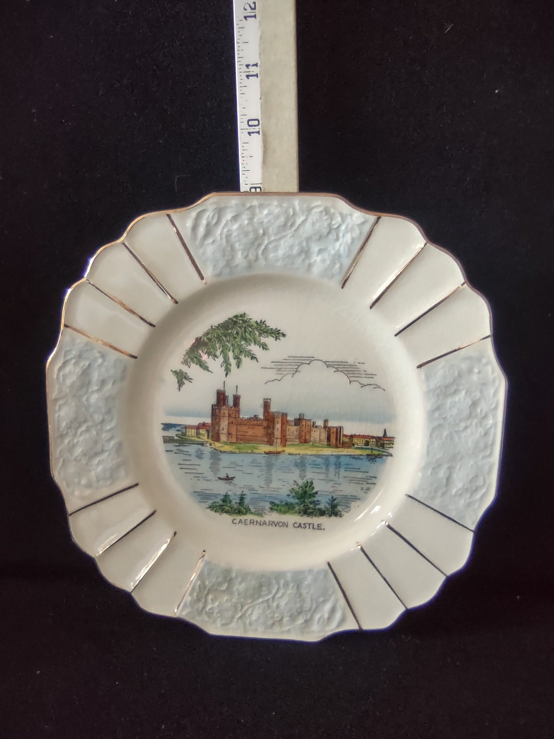 Vintage Myott Caernarvon Castle Wales Collector Plate Ironstone England [5953]