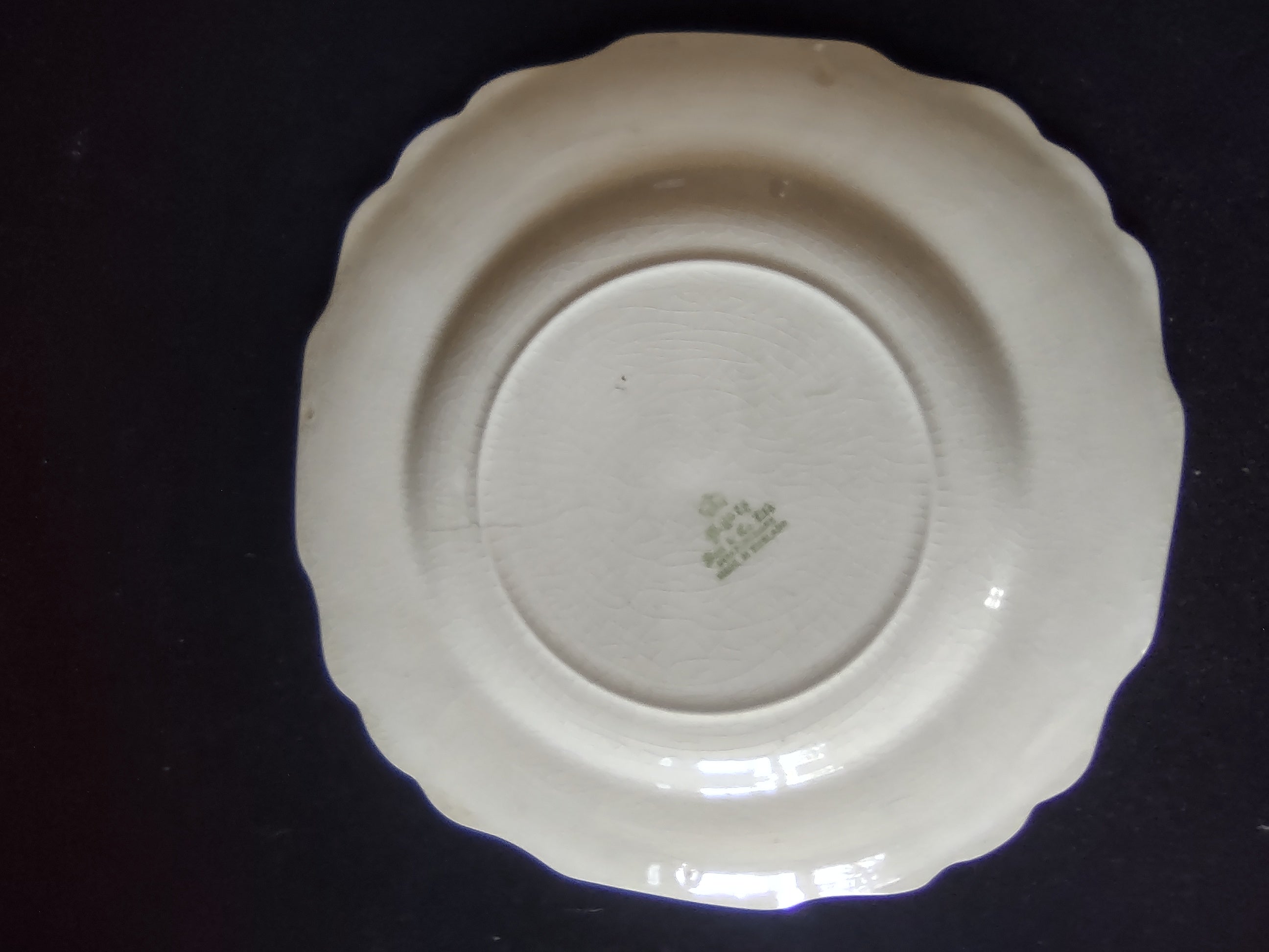 Vintage Myott Caernarvon Castle Wales Collector Plate Ironstone England [5953]