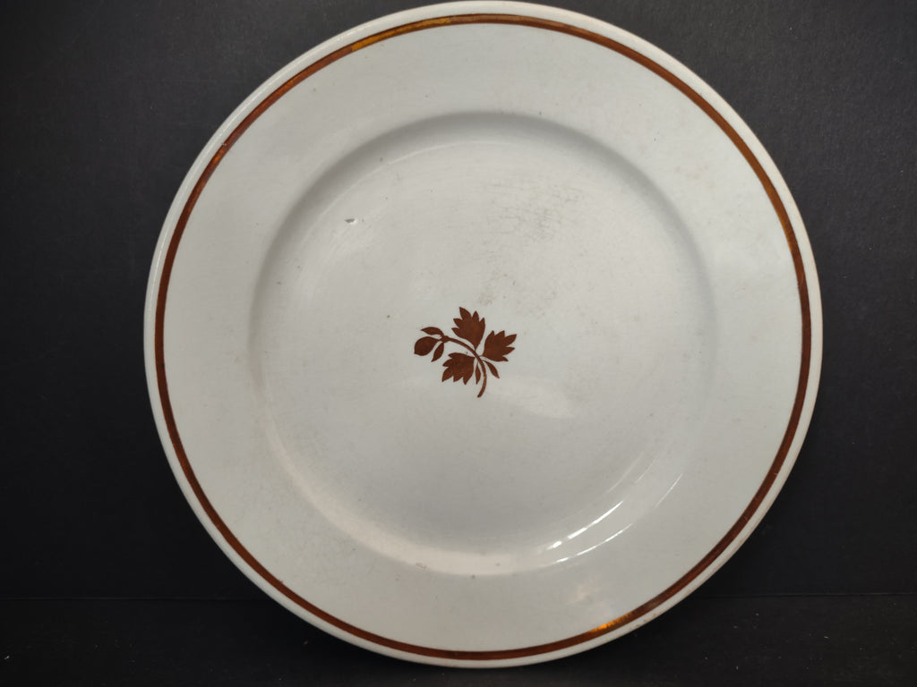 Vintage Anthony Shaw & Son Opaque Stone China Leaf Sprig Plate England [5966]
