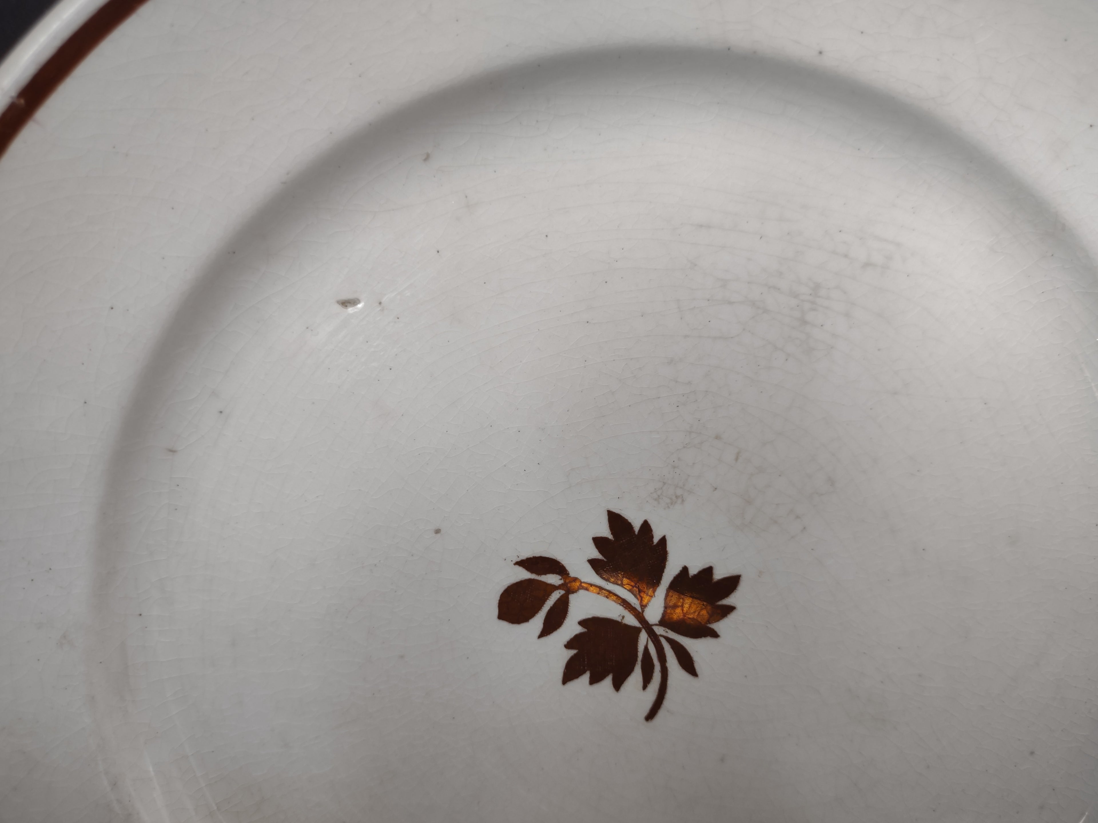 Vintage Anthony Shaw & Son Opaque Stone China Leaf Sprig Plate England [5966]