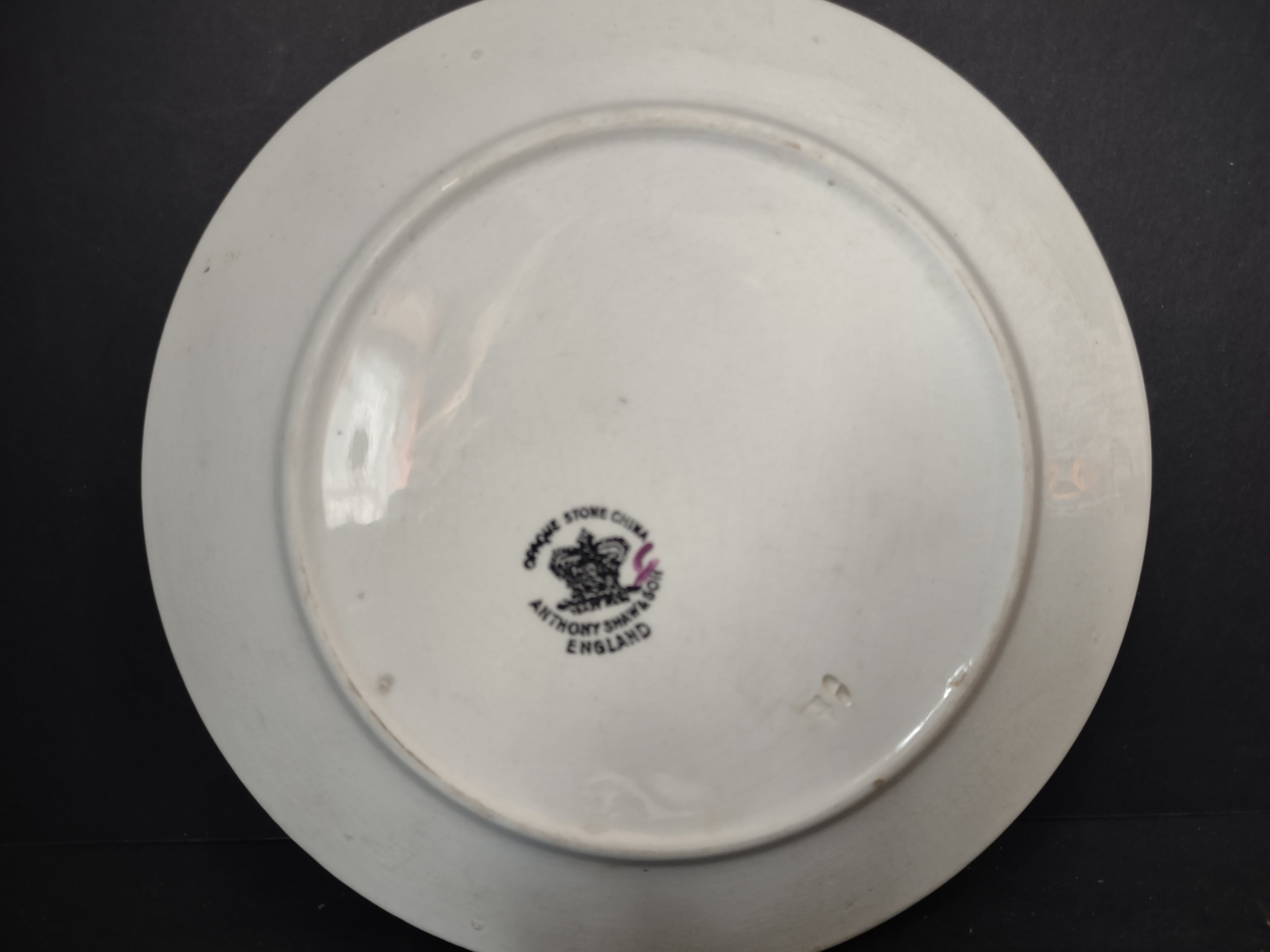 Vintage Anthony Shaw & Son Opaque Stone China Leaf Sprig Plate England [5966]