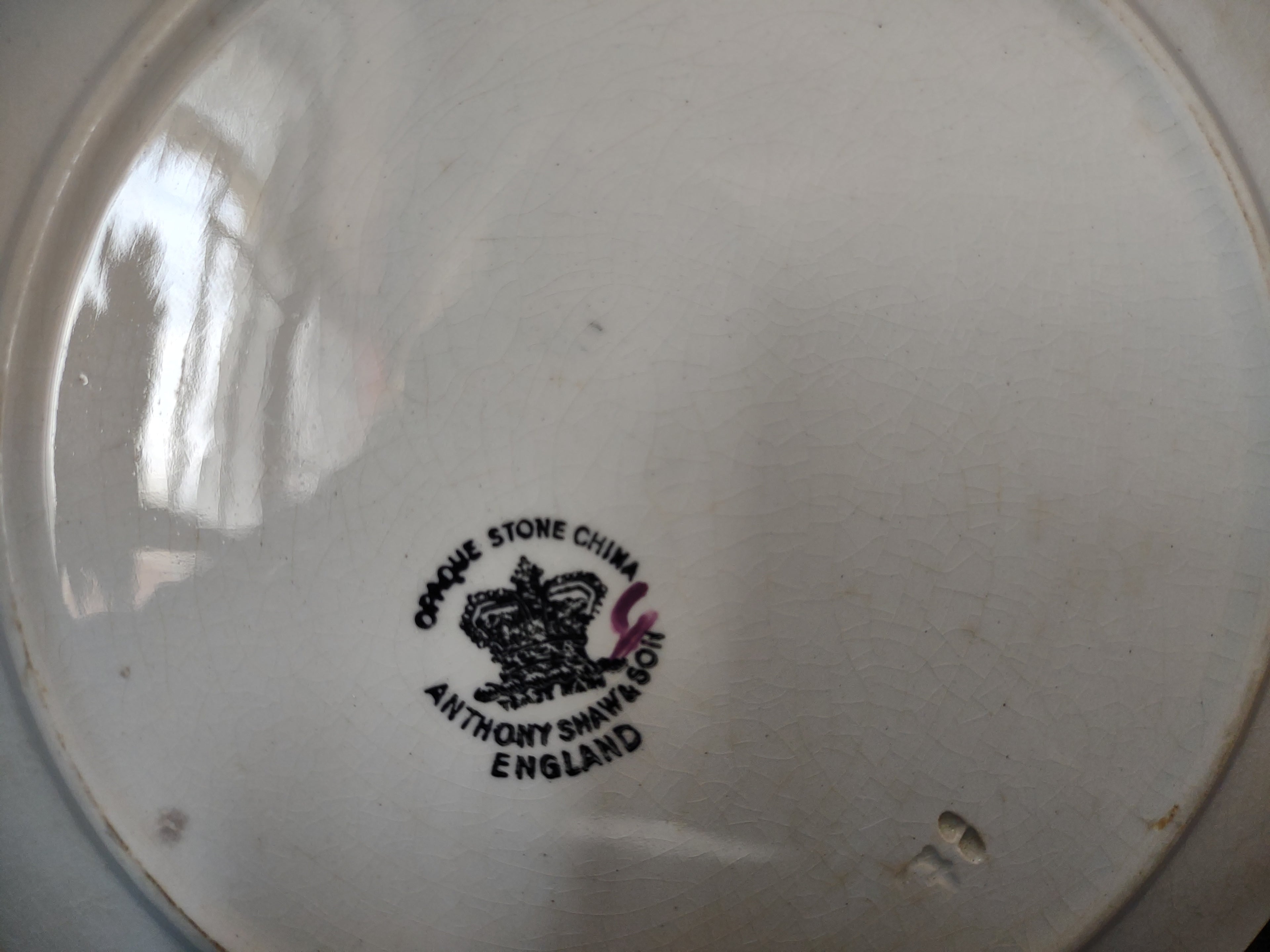 Vintage Anthony Shaw & Son Opaque Stone China Leaf Sprig Plate England [5966]
