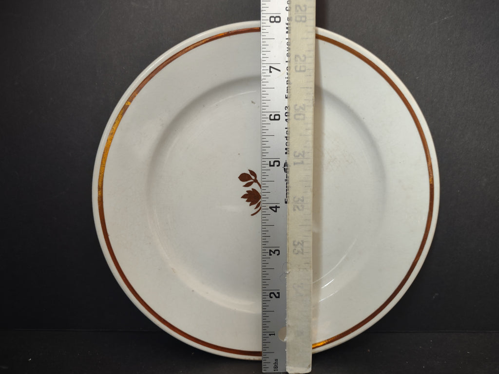 Vintage Anthony Shaw & Son Opaque Stone China Leaf Sprig Plate England [5966]