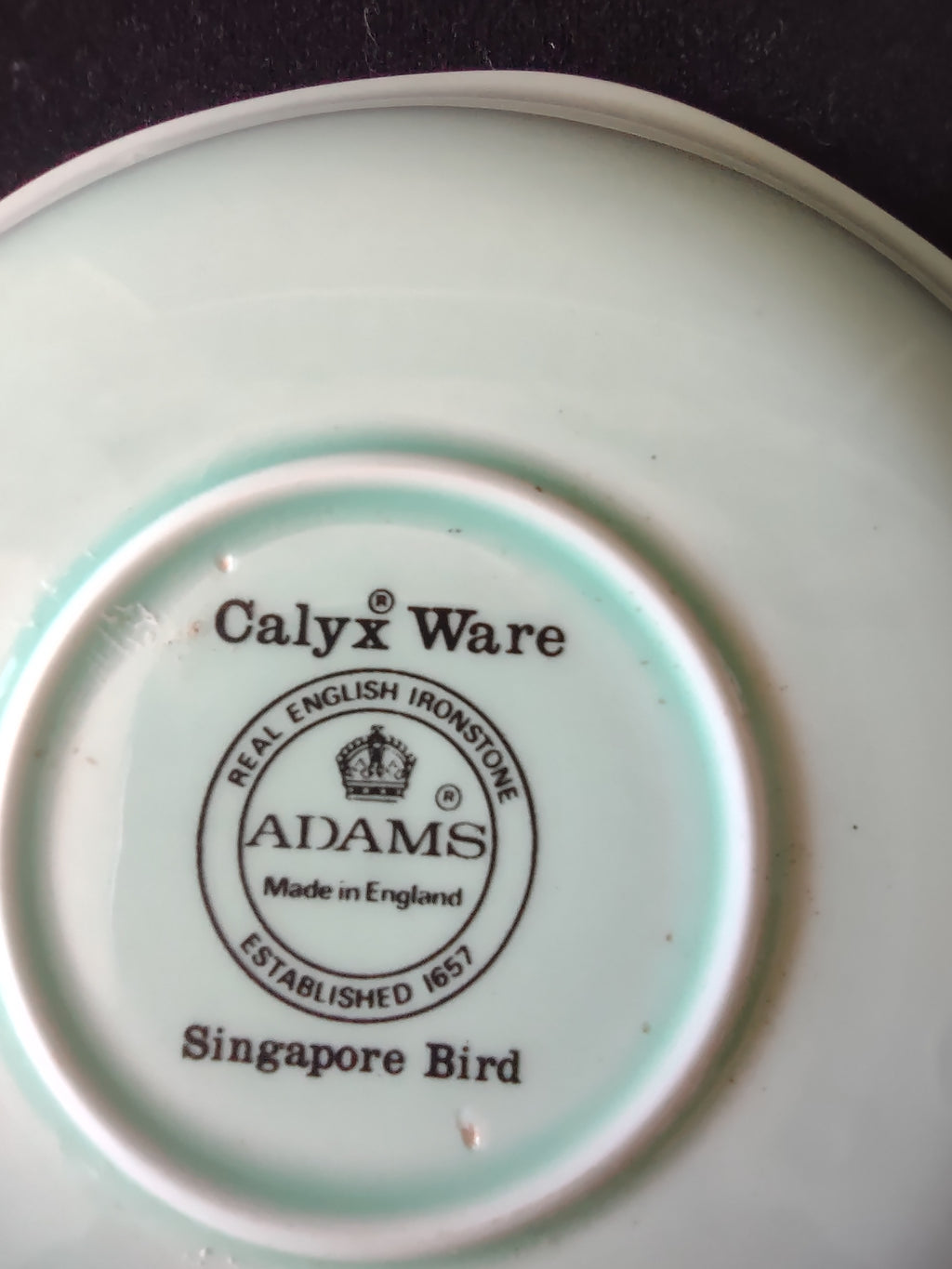 Vintage Adams Calyx Ware Singapore Bird Cup Saucer Ironstone England [6017]