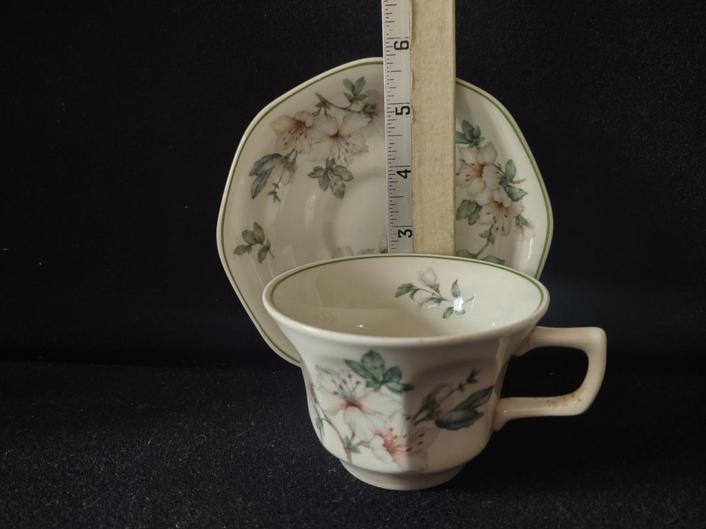Vintage Adams Azalea Cup and Saucer Set Real English Ironstone England [6023]