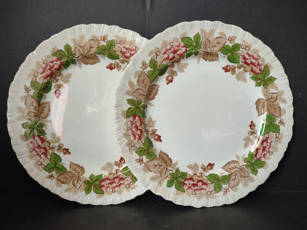 Vintage Wedgwood Wildbriar Dinner Plates Set of 2 England [6057]