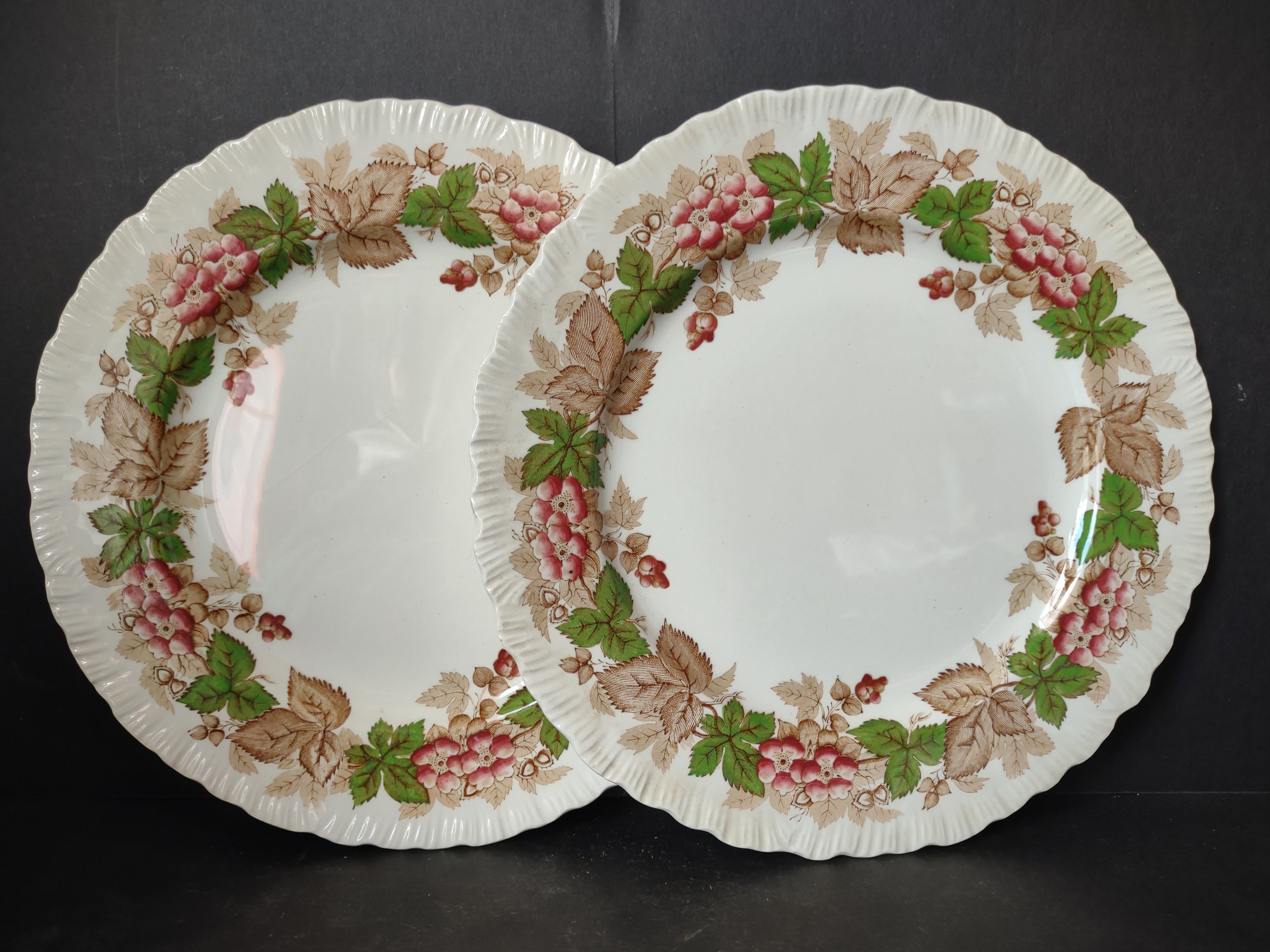 Vintage Wedgwood Wildbriar Dinner Plates Set of 2 England [6057]