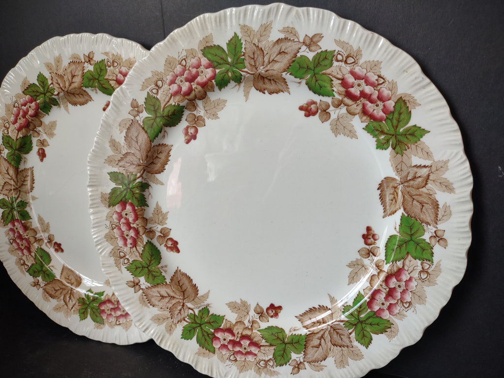 Vintage Wedgwood Wildbriar Dinner Plates Set of 2 England [6057]