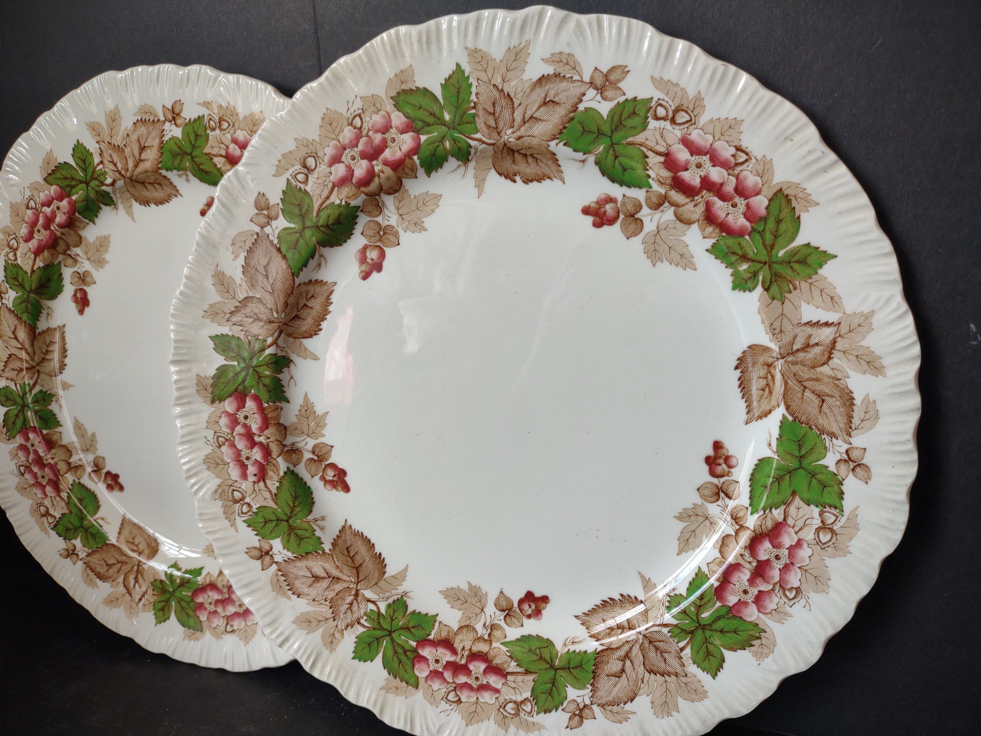 Vintage Wedgwood Wildbriar Dinner Plates Set of 2 England [6057]