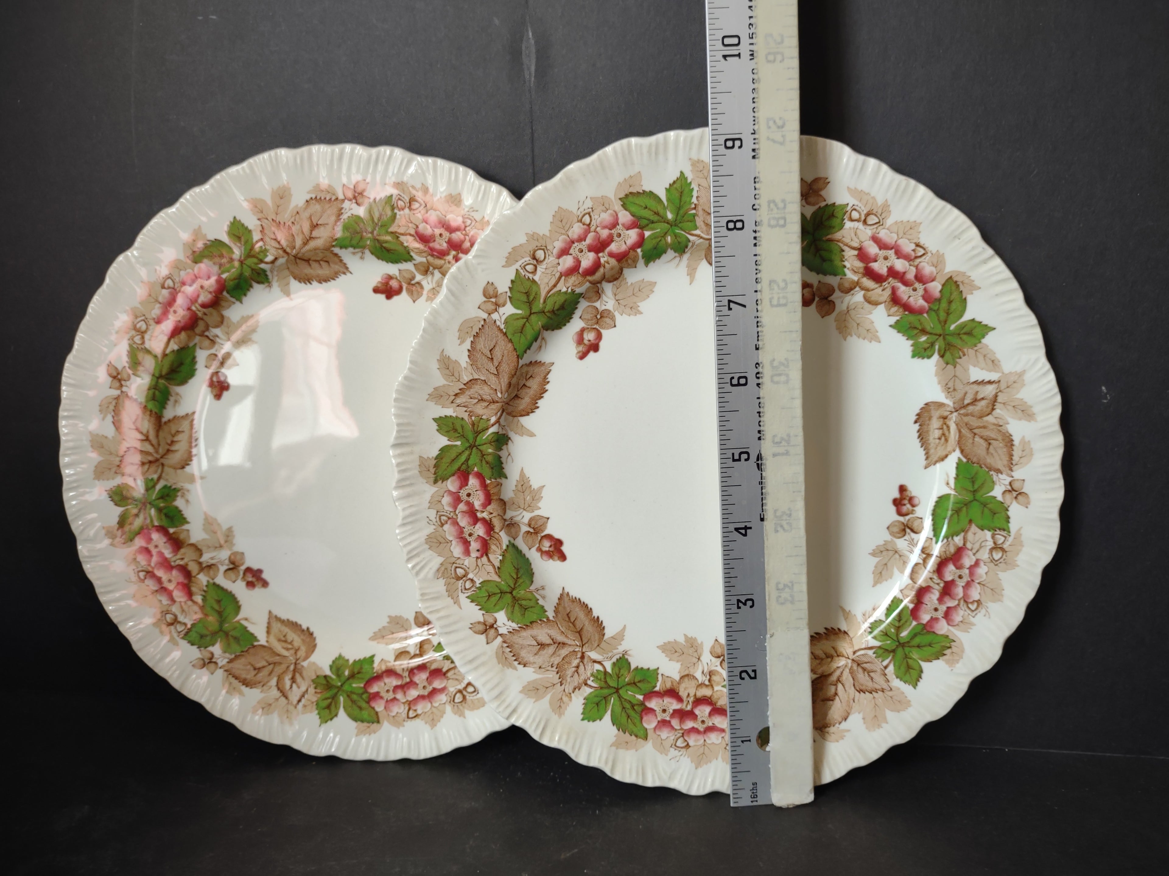 Vintage Wedgwood Wildbriar Dinner Plates Set of 2 England [6057]