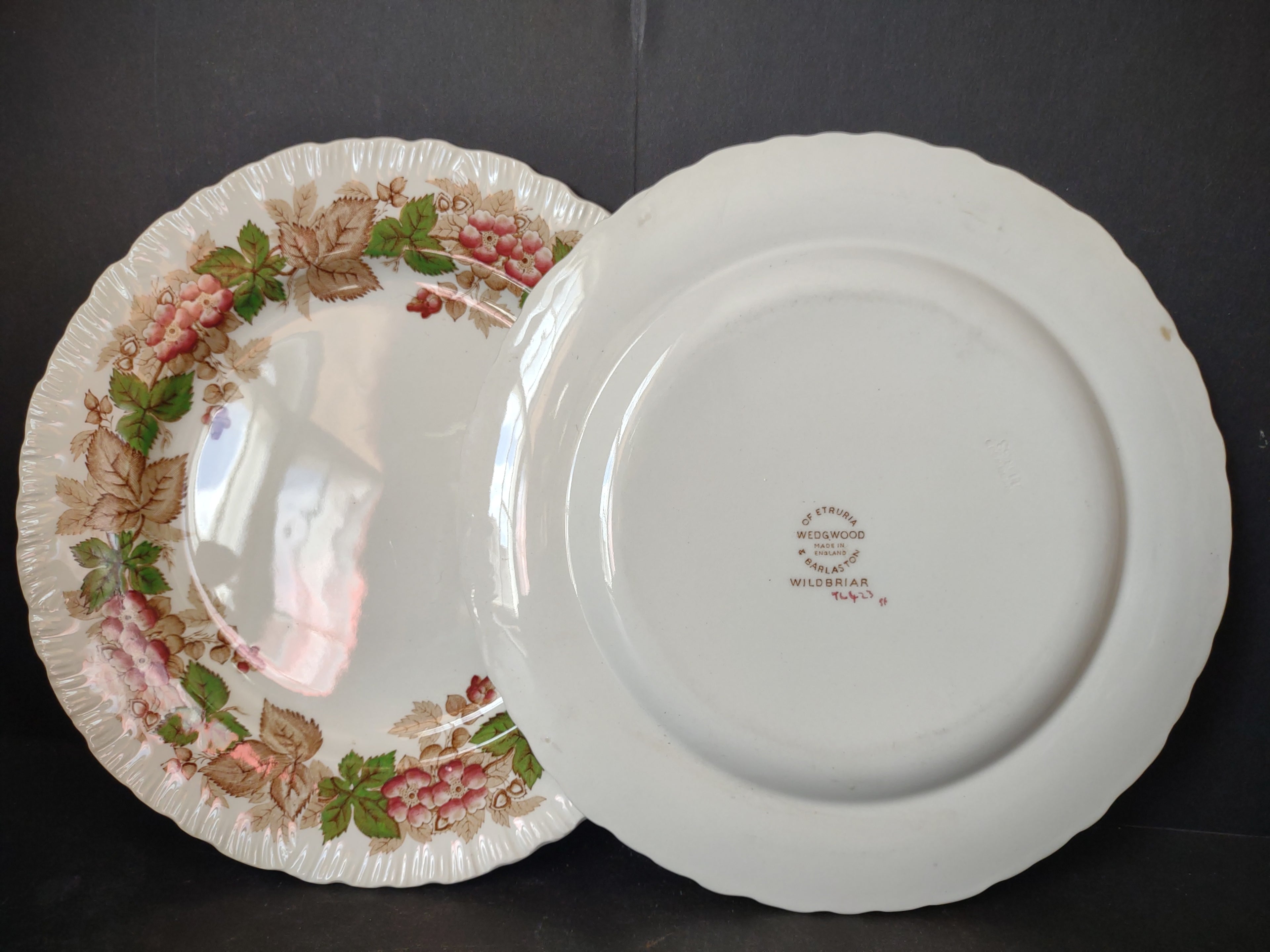Vintage Wedgwood Wildbriar Dinner Plates Set of 2 England [6057]