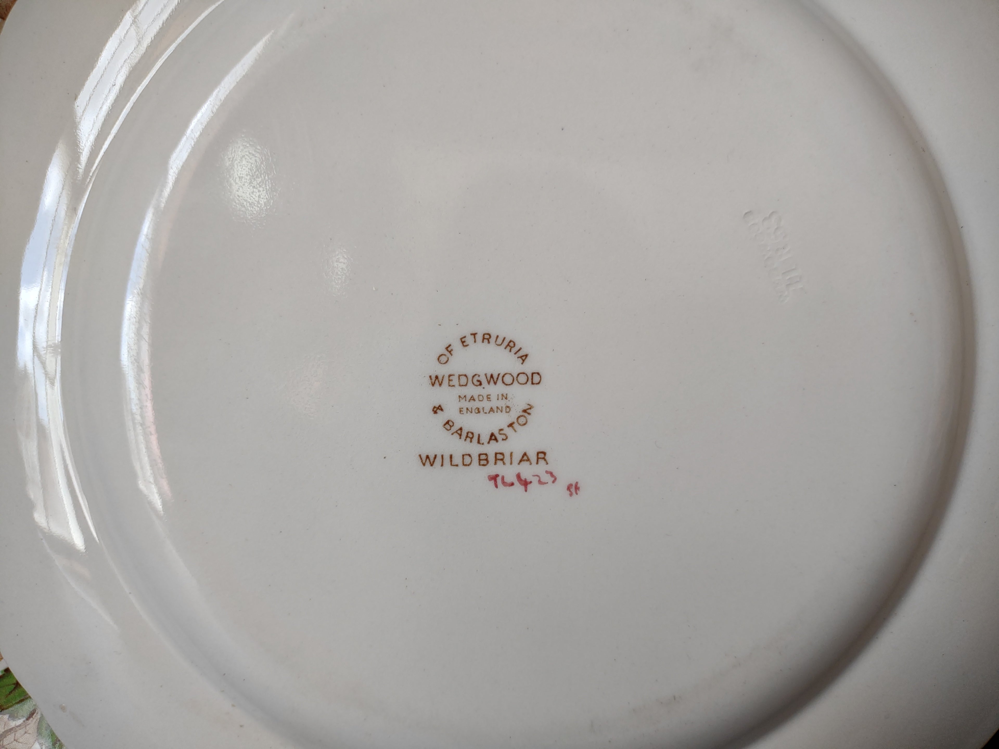 Vintage Wedgwood Wildbriar Dinner Plates Set of 2 England [6057]
