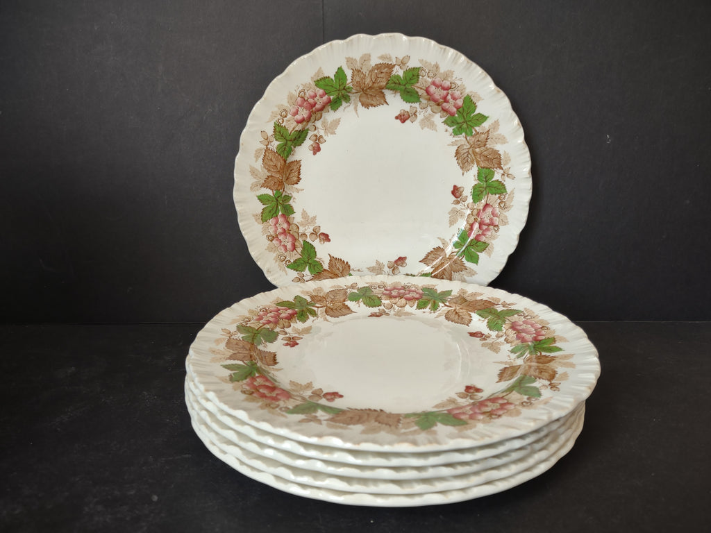 Vintage Wedgwood Wild Briar Lunch Plate x 6 Etruria Barlaston England [6058]