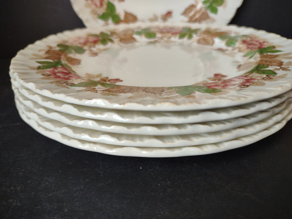 Vintage Wedgwood Wild Briar Lunch Plate x 6 Etruria Barlaston England [6058]