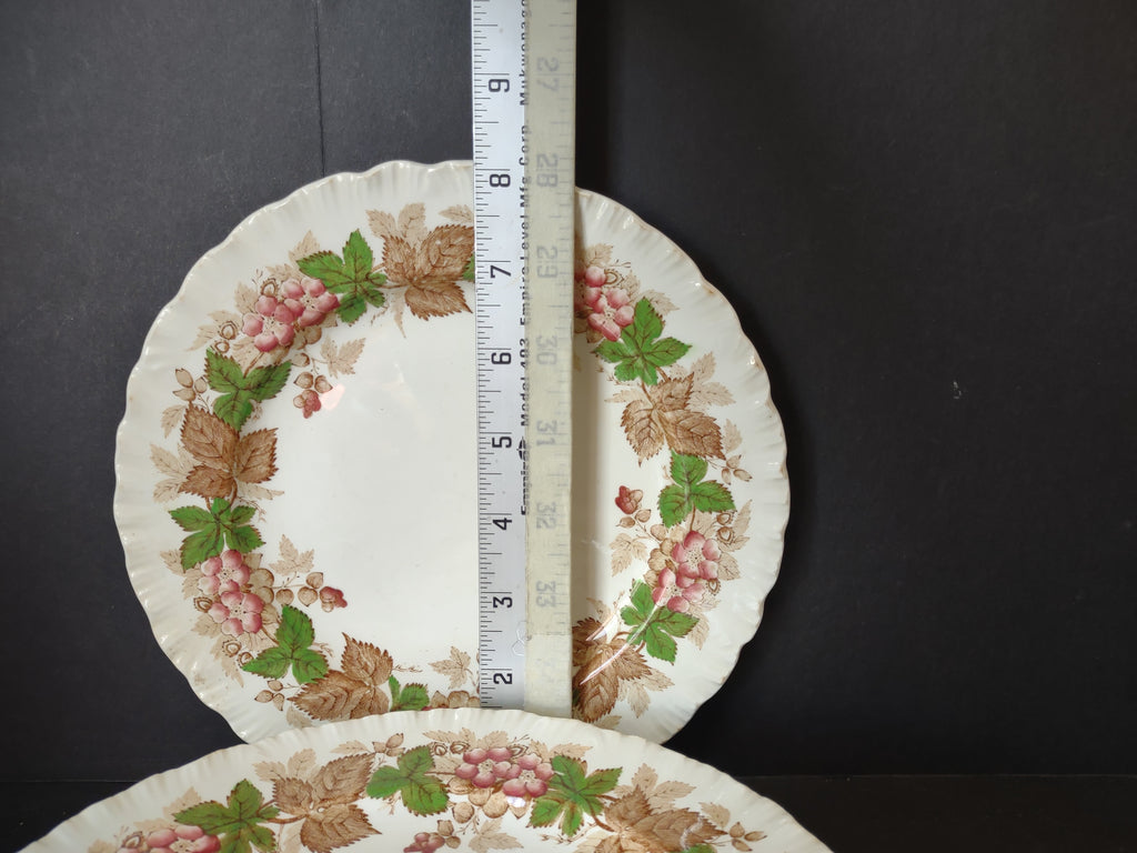 Vintage Wedgwood Wild Briar Lunch Plate x 6 Etruria Barlaston England [6058]