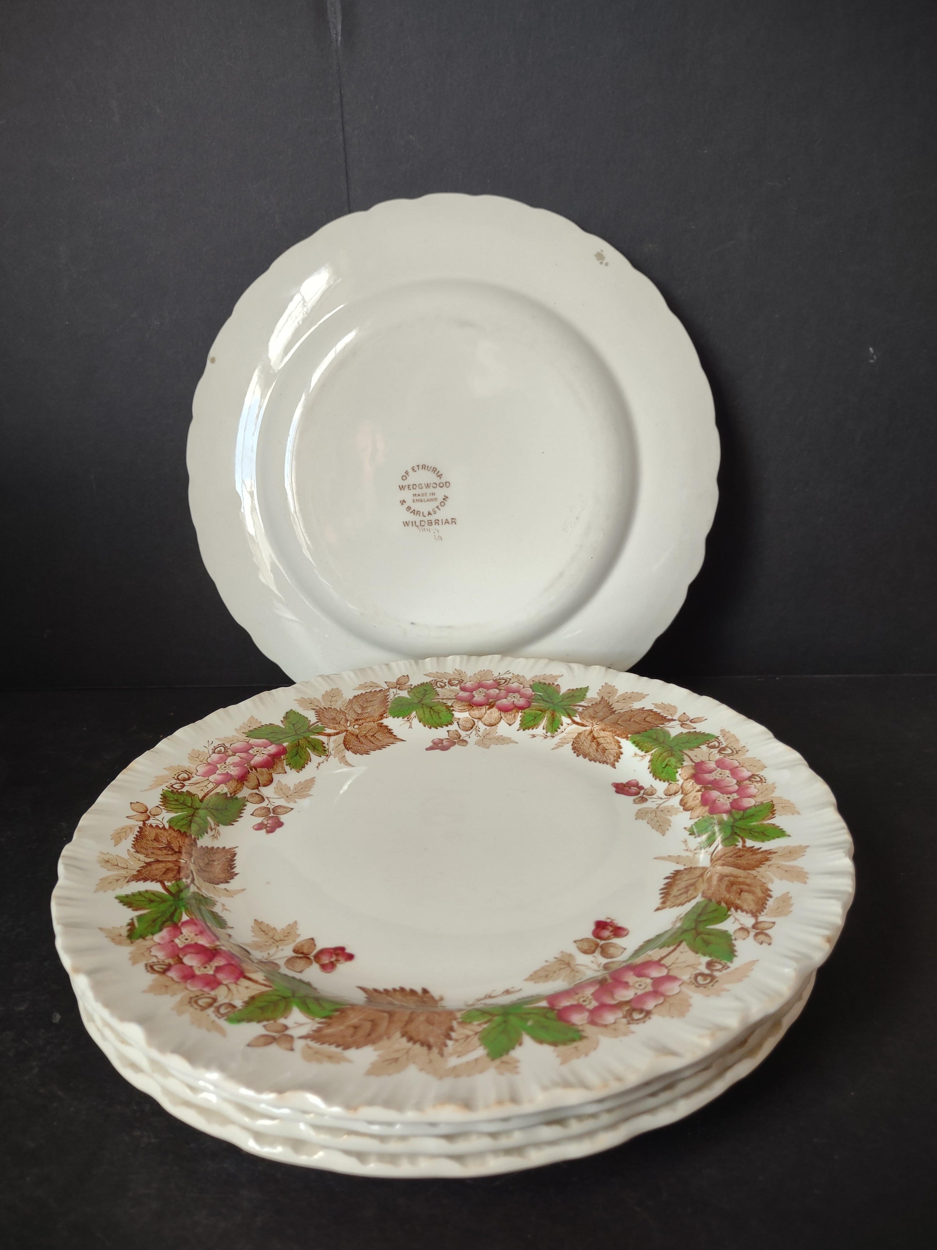 Vintage Wedgwood Wild Briar Lunch Plate x 6 Etruria Barlaston England [6058]
