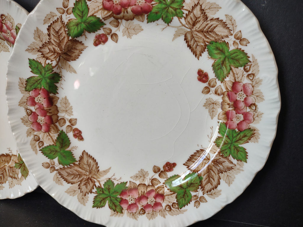 Vintage Wedgwood Wildbriar Pink Floral Small Plates Set of 2 England [6059]