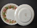 Vintage Wedgwood Wildbriar Pink Floral Small Plates Set of 2 England [6059]