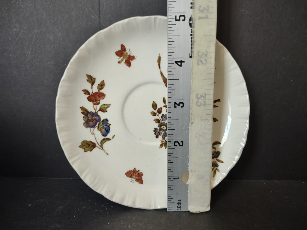 Vintage Floral Butterfly Demitasse Saucer Scalloped Rim Off-White [6064]