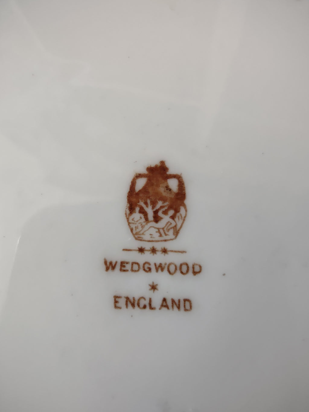 Vintage Wedgwood England Bone China Pink Rose Dinner Plate [6102]