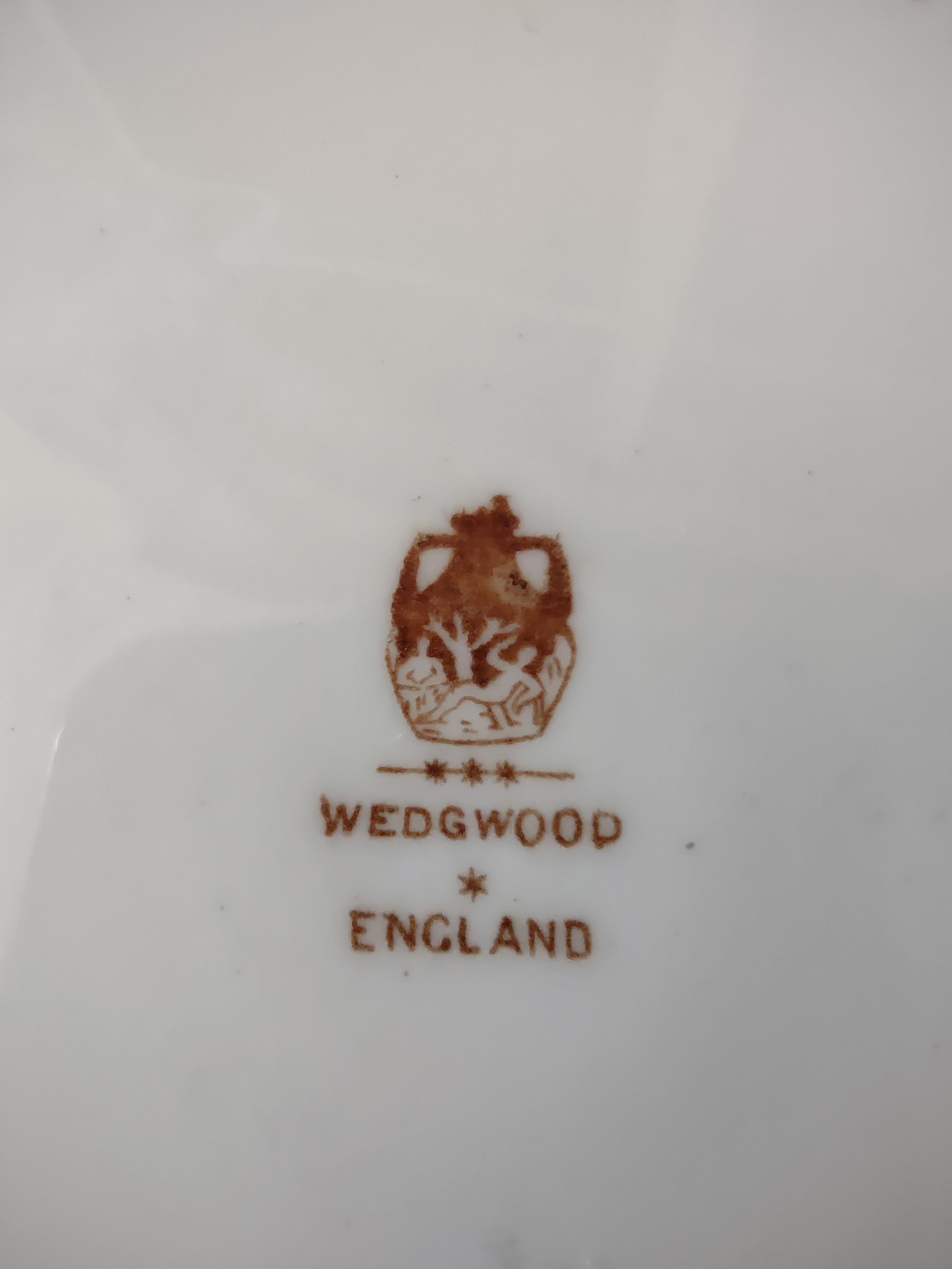 Vintage Wedgwood England Bone China Pink Rose Dinner Plate [6102]