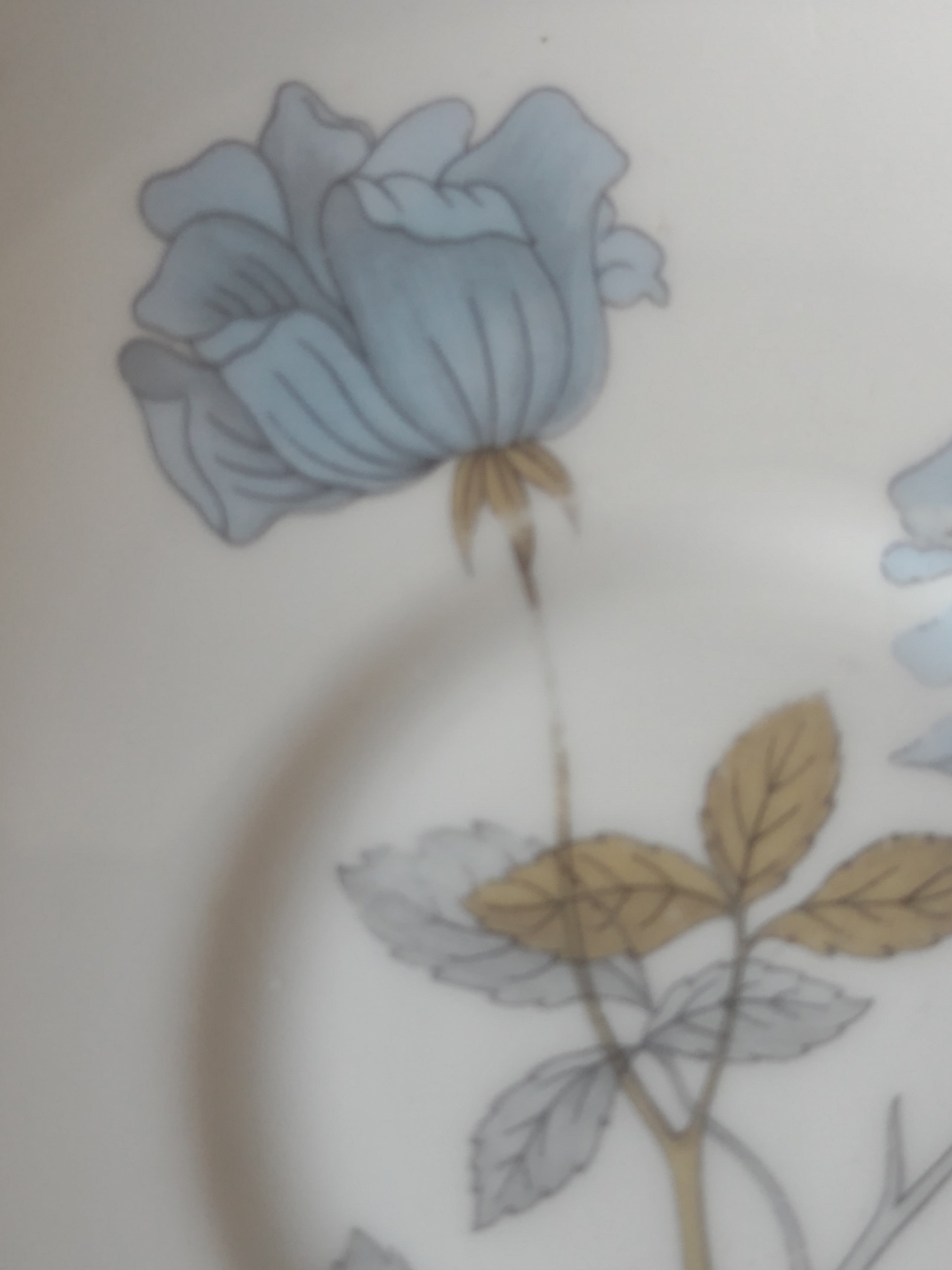 Vintage Wedgwood Ice Rose Saucers Bone China England Set of 2 [6130]