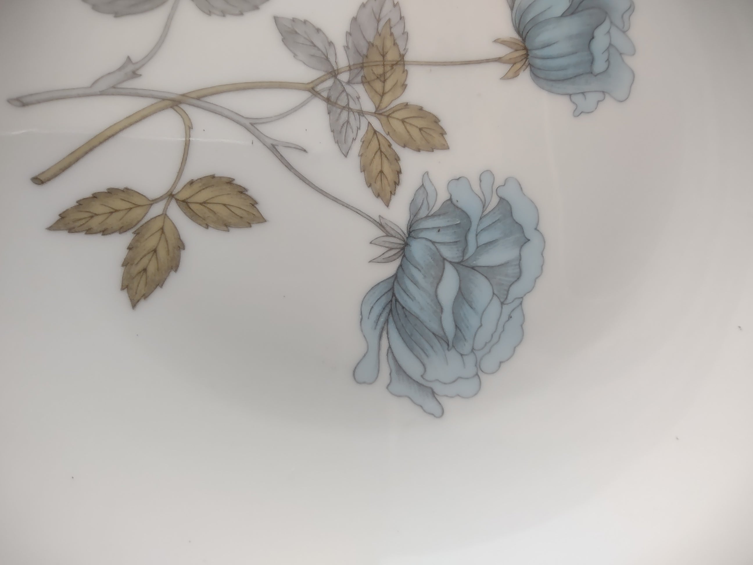 Vintage Wedgwood Ice Rose Bread Butter Plate Set of 2 England [6131]