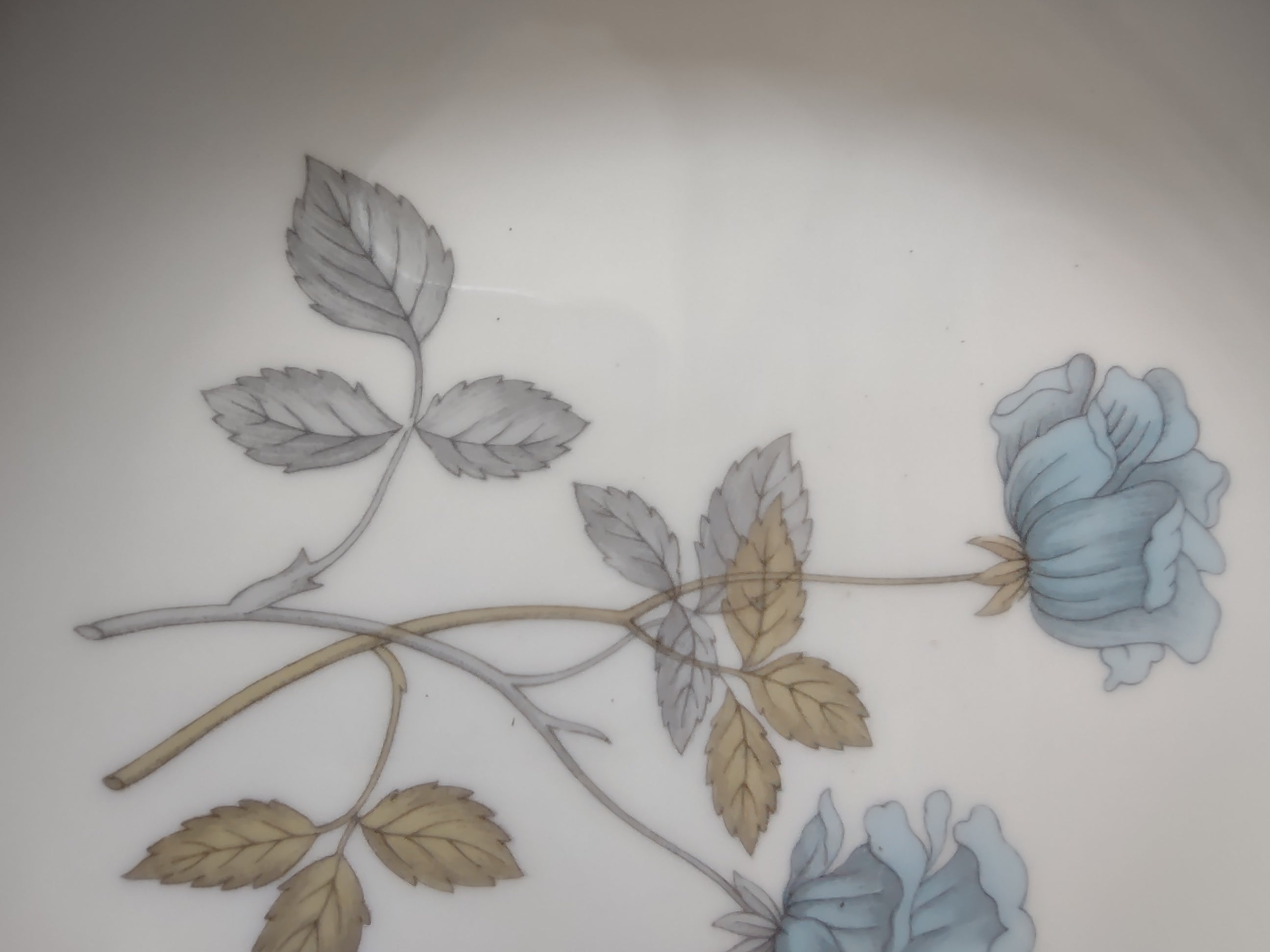 Vintage Wedgwood Ice Rose Bread Butter Plate Set of 2 England [6131]