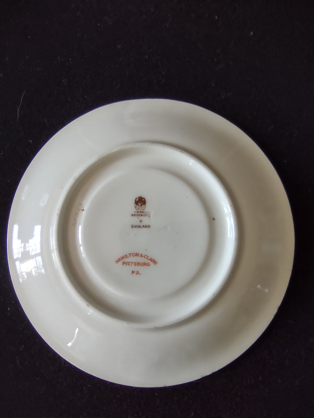 Vintage Wedgwood Cup Saucer Bone China Green Rose Gold Laurel England [6140]