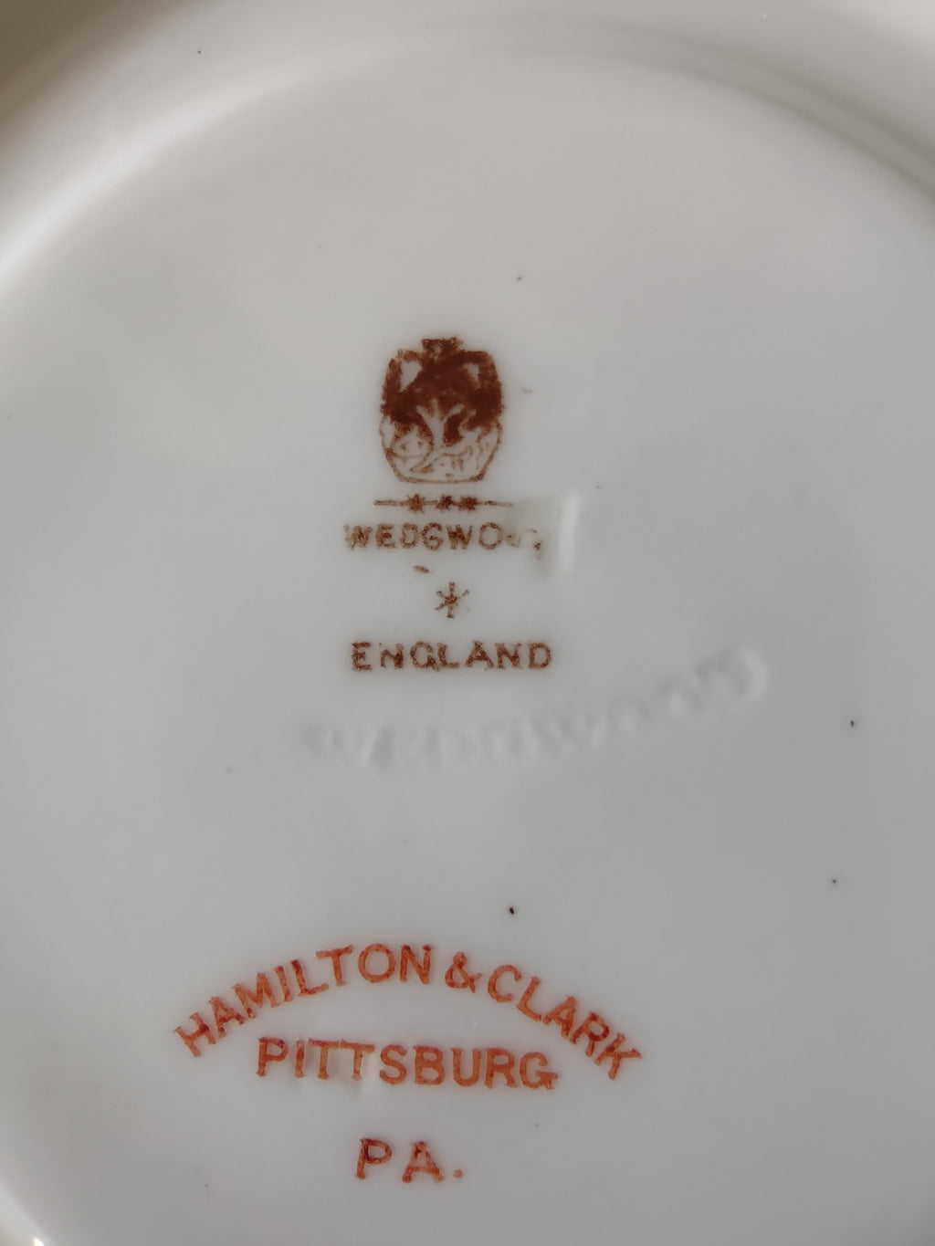 Vintage Wedgwood Cup Saucer Bone China Green Rose Gold Laurel England [6140]