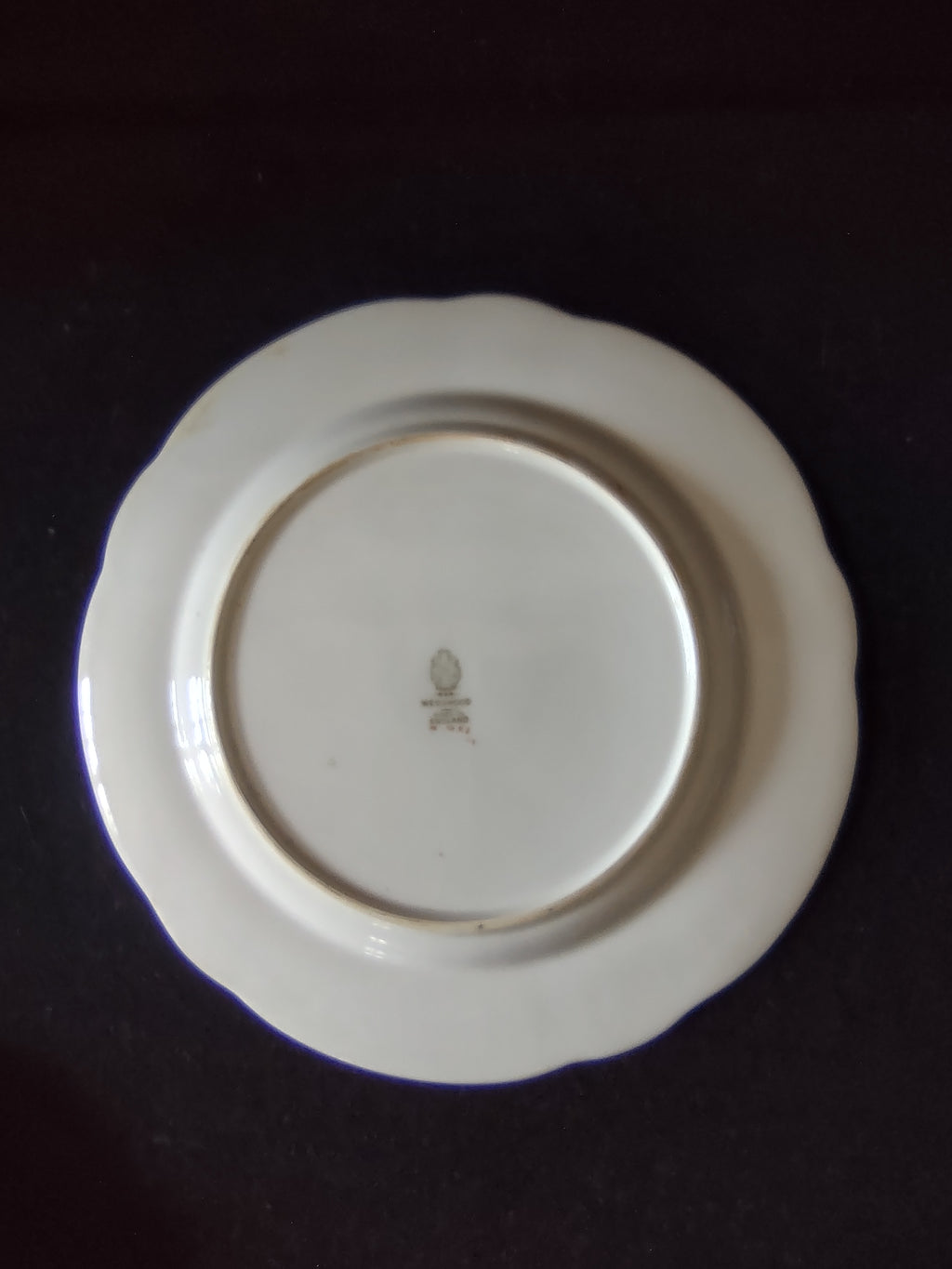 Vintage Wedgwood Dinner Plate Bone China Rose Botanical England Set of 3 [6144]