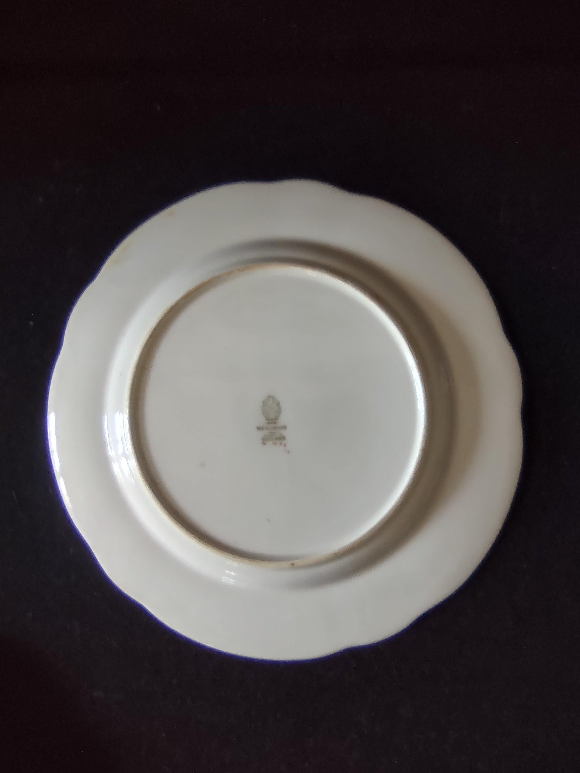 Vintage Wedgwood Dinner Plate Bone China Rose Botanical England Set of 3 [6144]