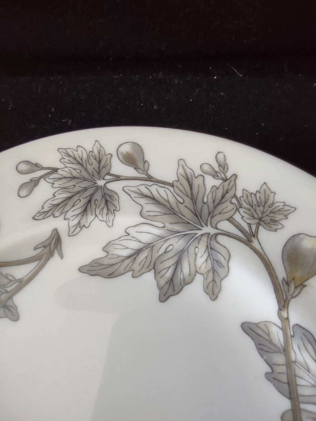 Vintage Wedgwood Ashford Bone China Bread Butter Plate England [6178]