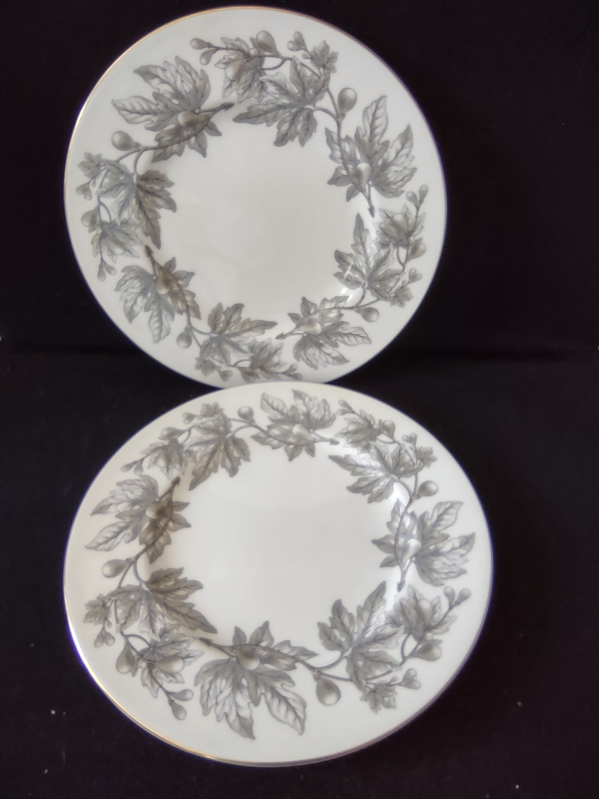 Vintage Wedgwood Ashford Bone China Dinner Plates England Pair [6179]