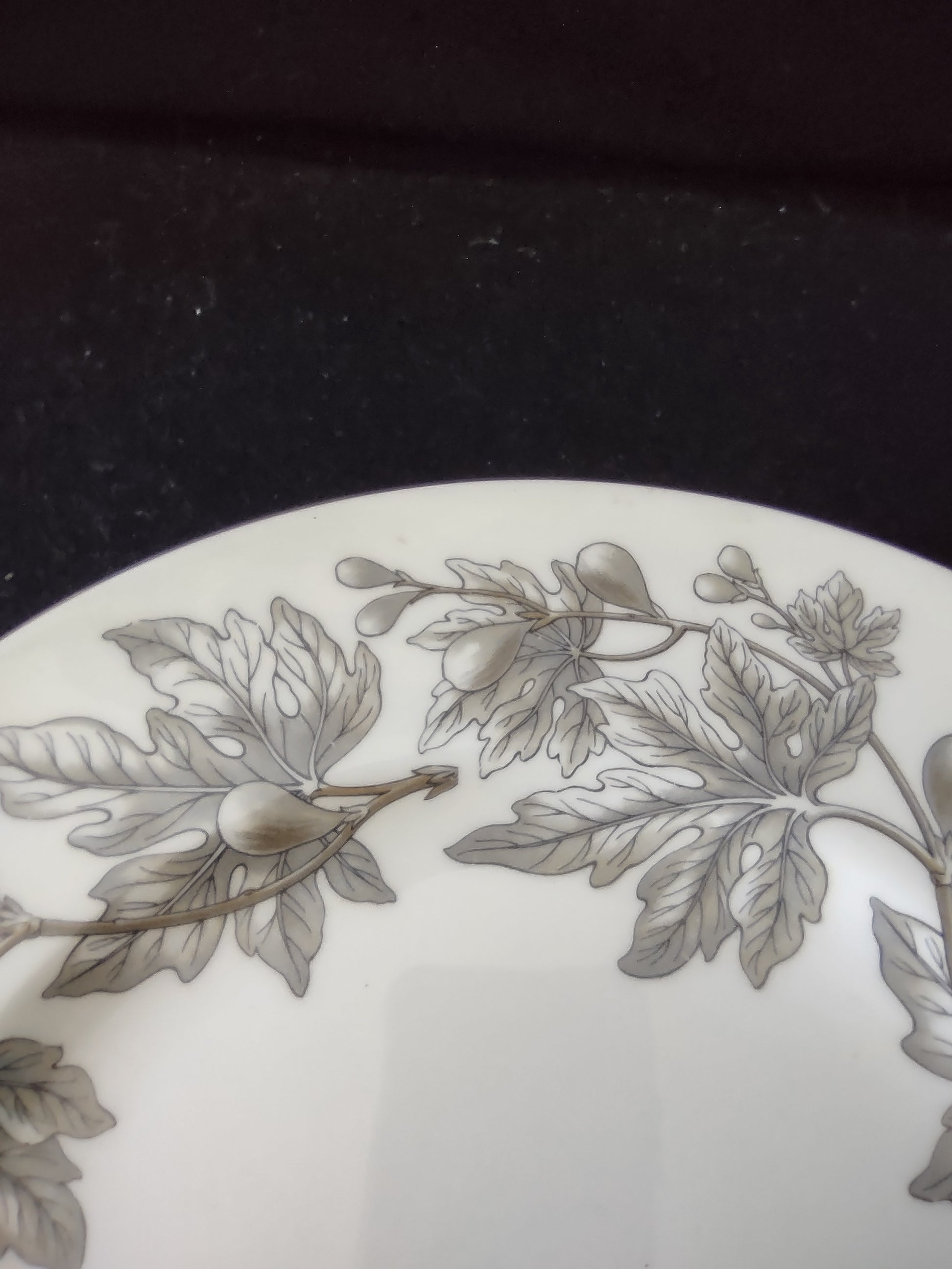 Vintage Wedgwood Ashford Bone China Dinner Plates England Pair [6179]